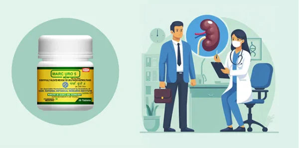 How to Naturally Remove Kidney Stones with Ayurvedic Remedies