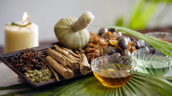 Top 10 Ayurvedic Herbs for Boosting Immunity Naturally
