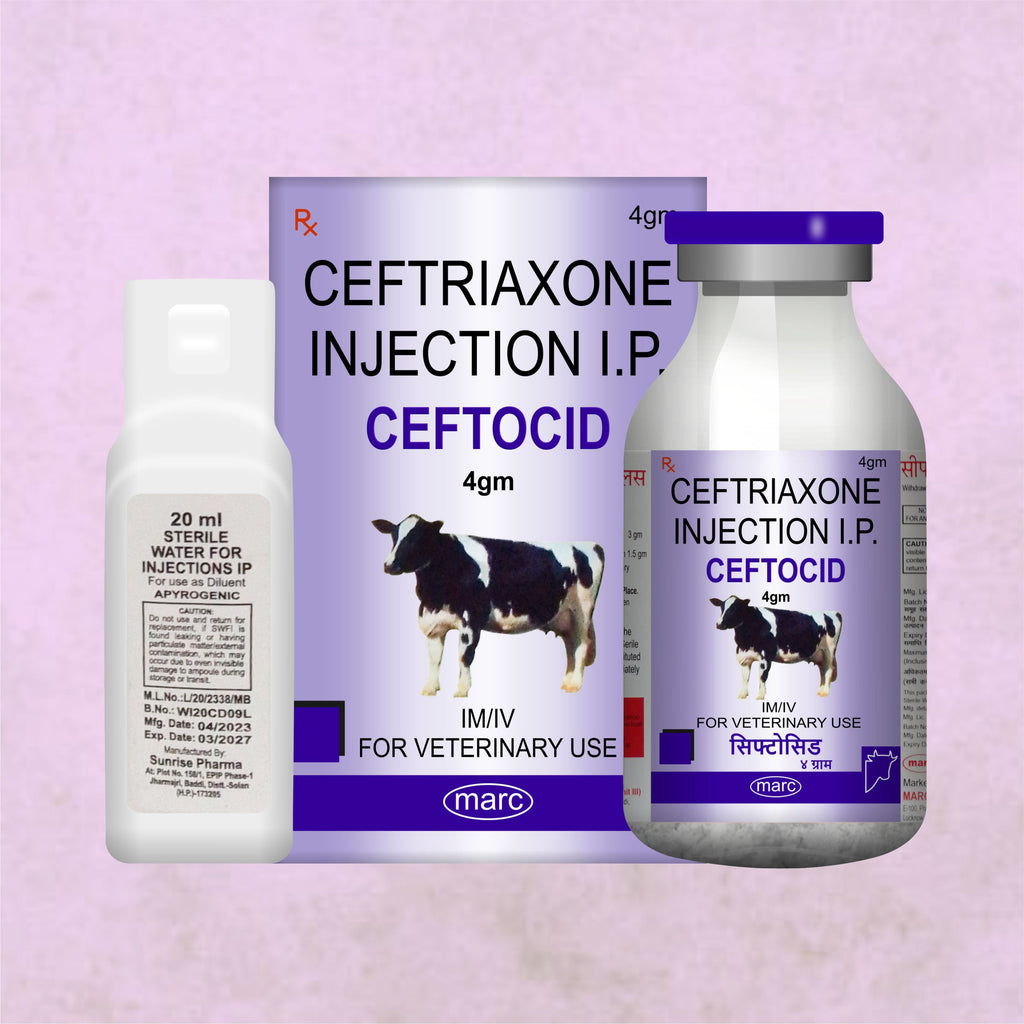 Ceftocid Injection 4GM – Broad-Spectrum Antibiotic Solution for Livestock Infections
