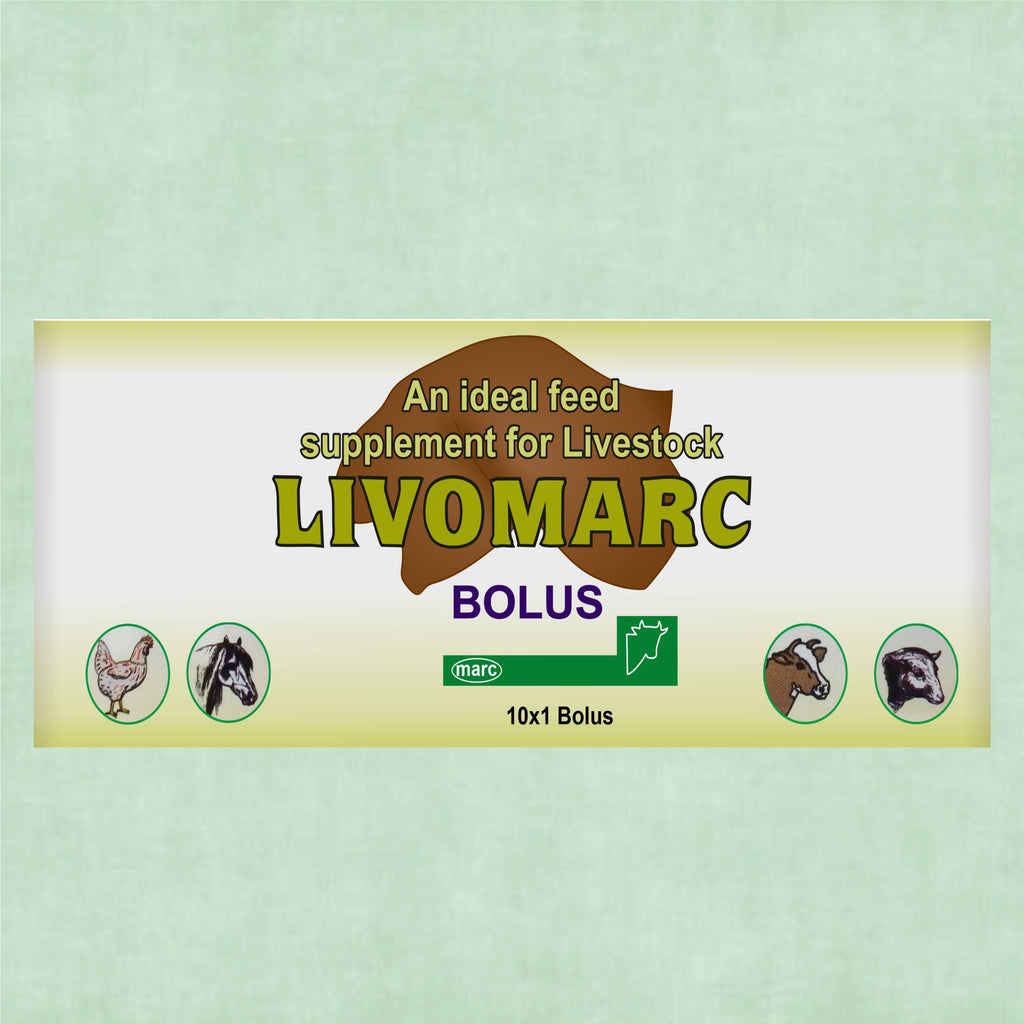 Marc Livomarc Bolus – Veterinary Liver Tonic & Digestive Supplement for Cattle, Buffaloes, Goats & Sheep