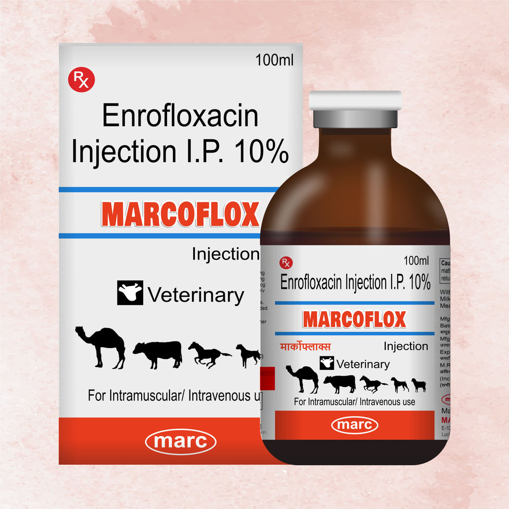 Marc Marcoflox Injection 100ml – Trusted Enrofloxacin Antibiotic for Powerful Veterinary Infection Control