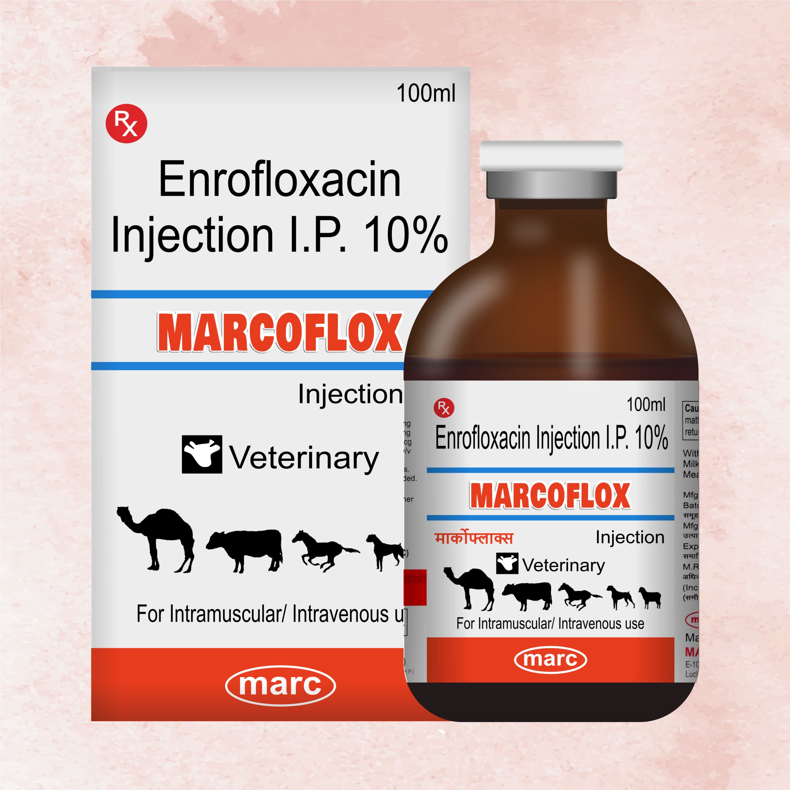 Marc Marcoflox Injection 100ml – Trusted Enrofloxacin Antibiotic for Powerful Veterinary Infection Control