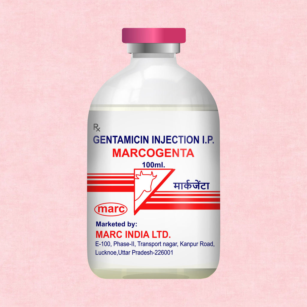 Marcogenta Injection 100ml – Trusted Gentamicin Antibiotic for Livestock Infections