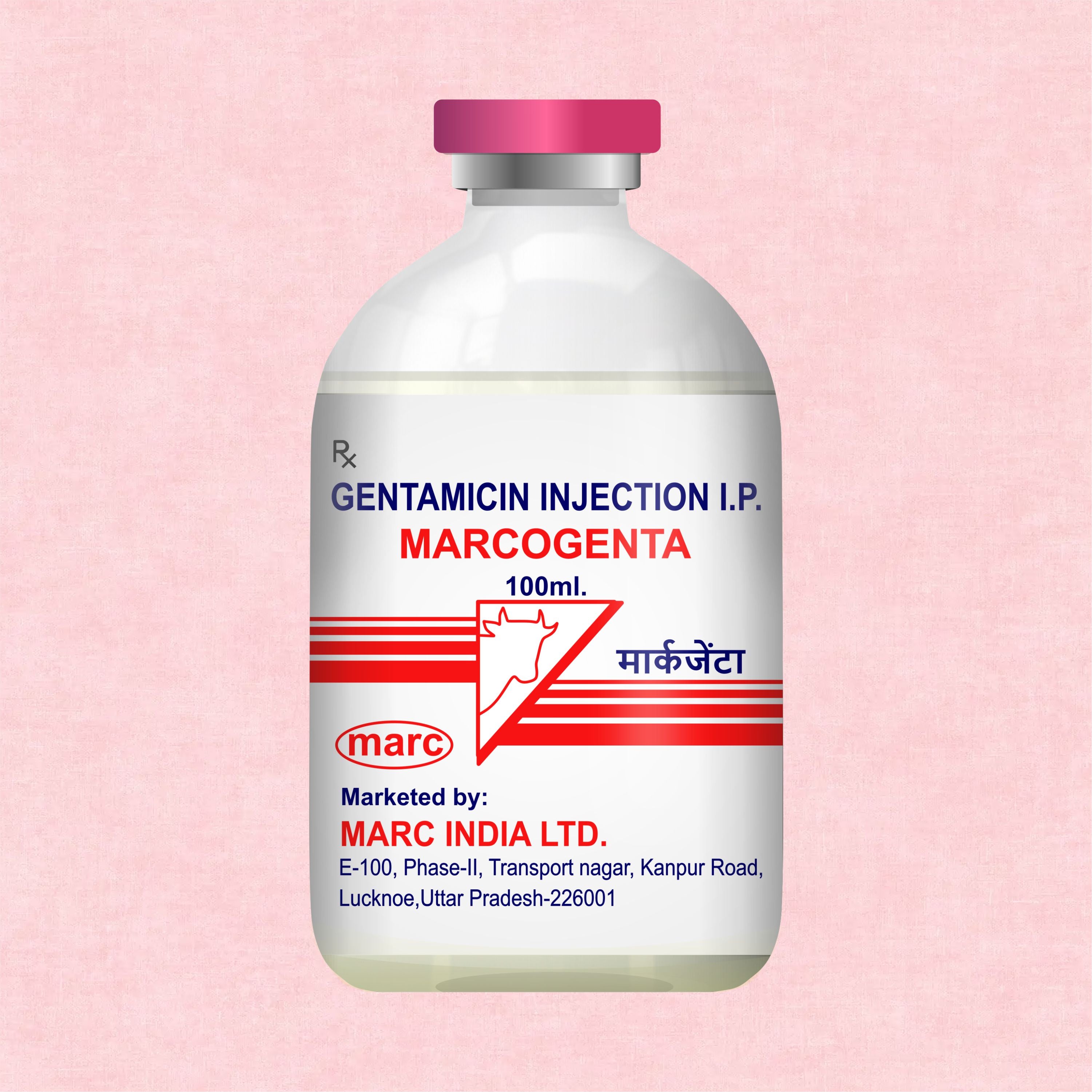 Marcogenta Injection 100ml – Trusted Gentamicin Antibiotic for Livestock Infections