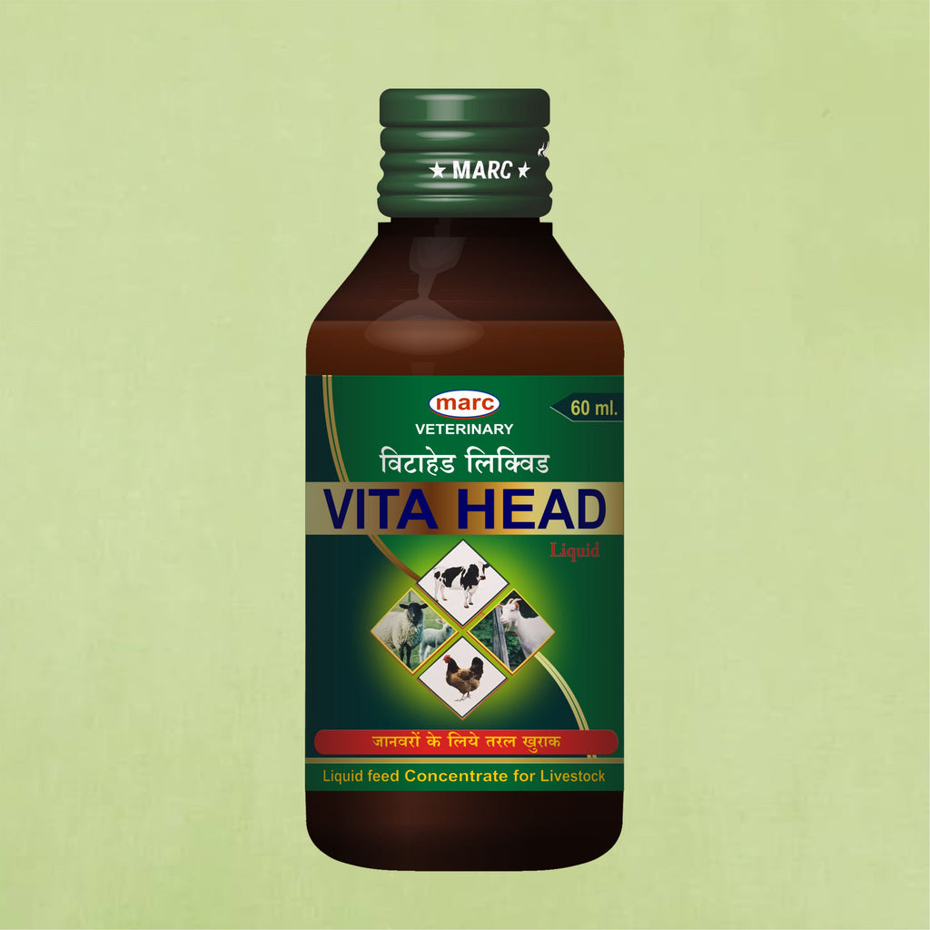 Vita Head Syrup 60ml – Nutritional Veterinary Supplement for Livestock (Pack of 2)