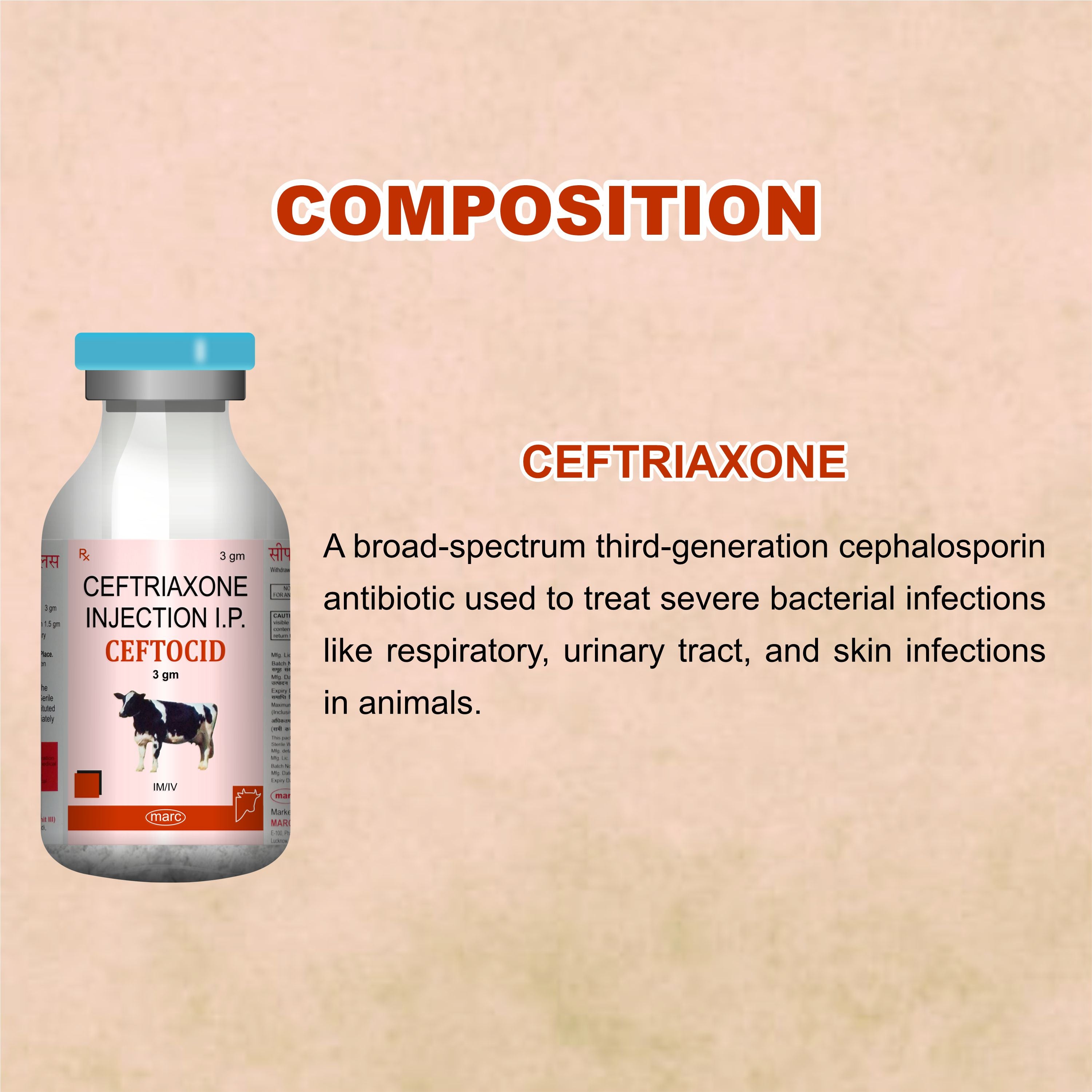 Ceftocid Injection 3GM – Broad Spectrum Ceftriaxone Antibiotic for Livestock Infections