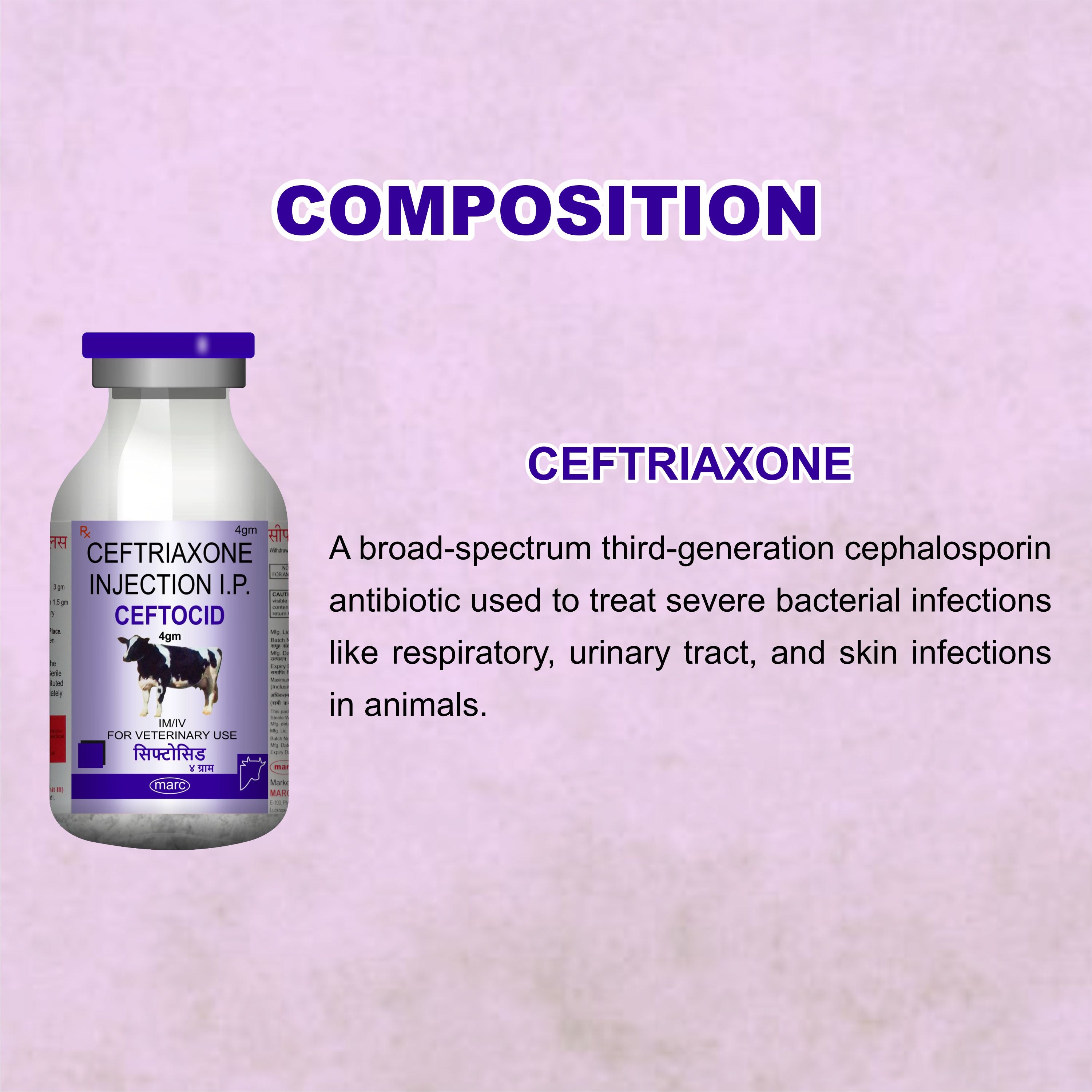 Ceftocid Injection 4GM – Broad-Spectrum Antibiotic Solution for Livestock Infections