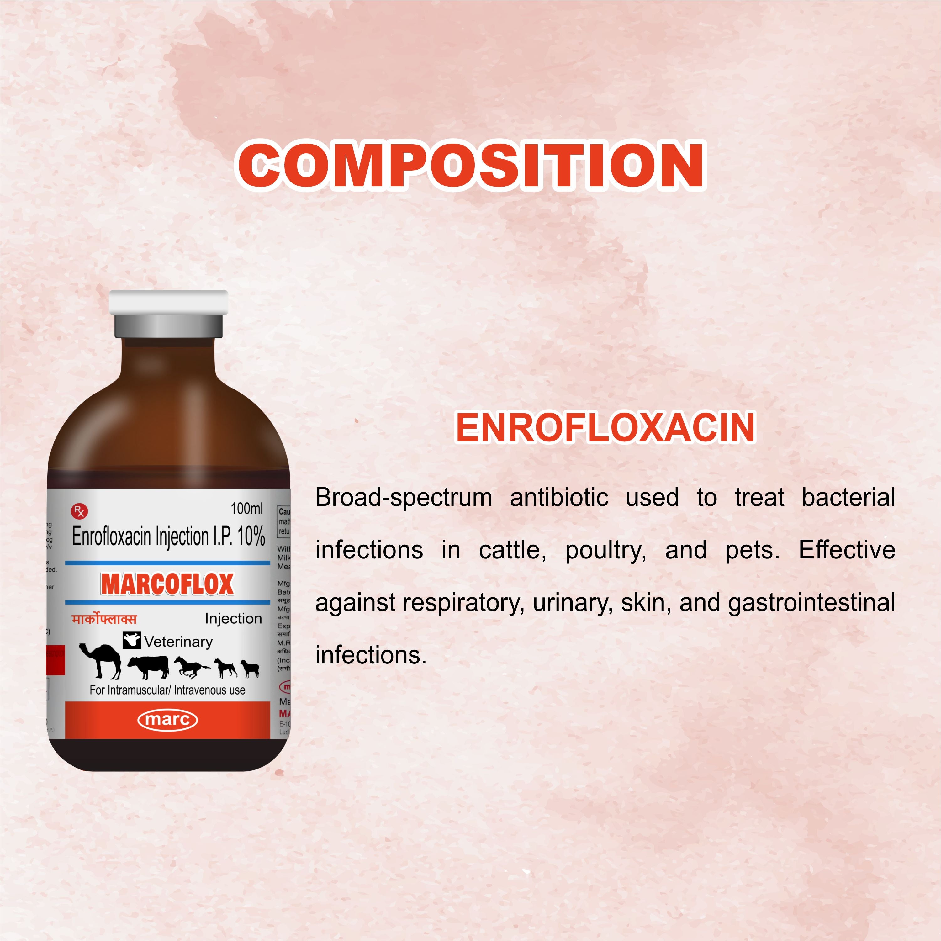 Marc Marcoflox Injection 100ml – Trusted Enrofloxacin Antibiotic for Powerful Veterinary Infection Control