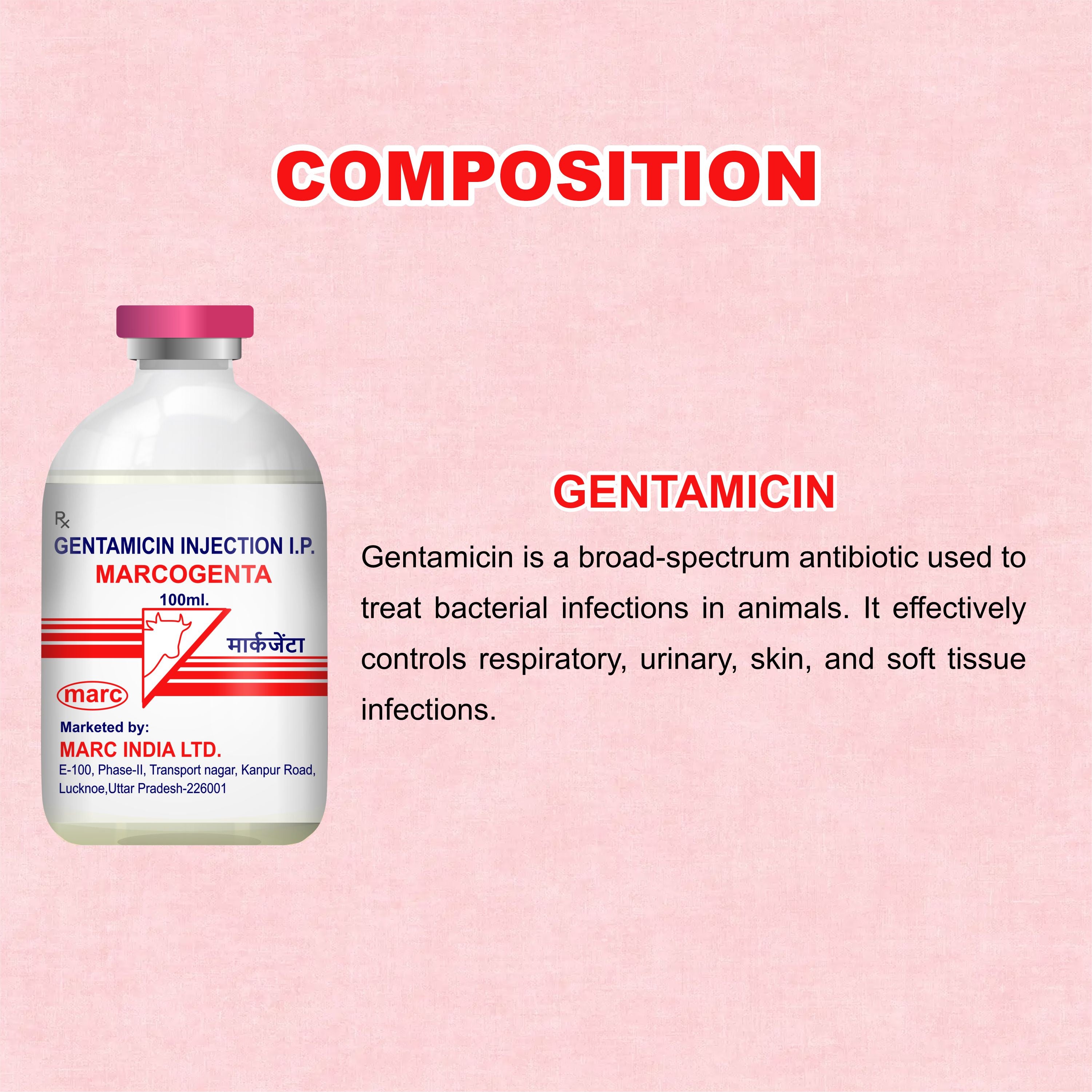 Marcogenta Injection 100ml – Trusted Gentamicin Antibiotic for Livestock Infections