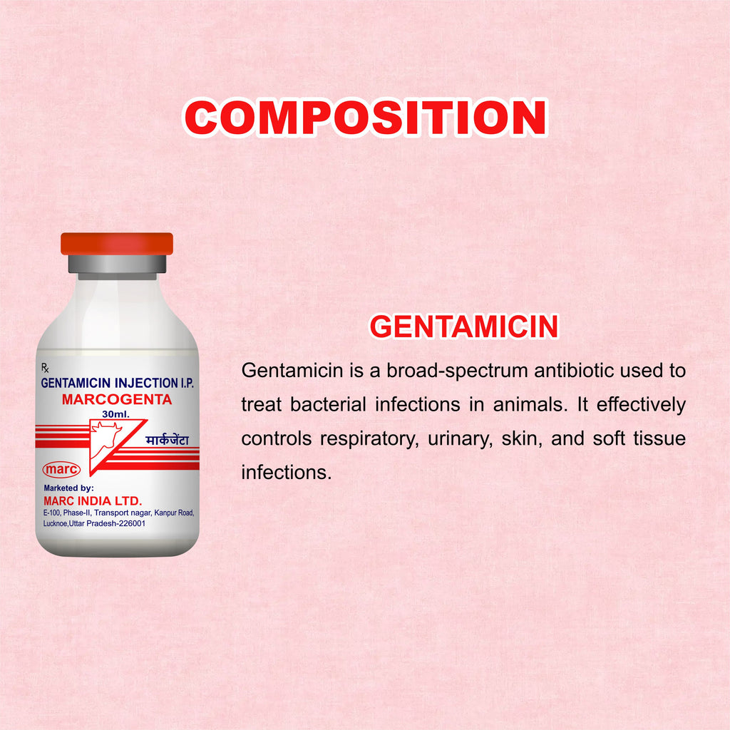 Marcogenta Injection 30ml – Trusted Gentamicin Antibiotic for Livestock Infections