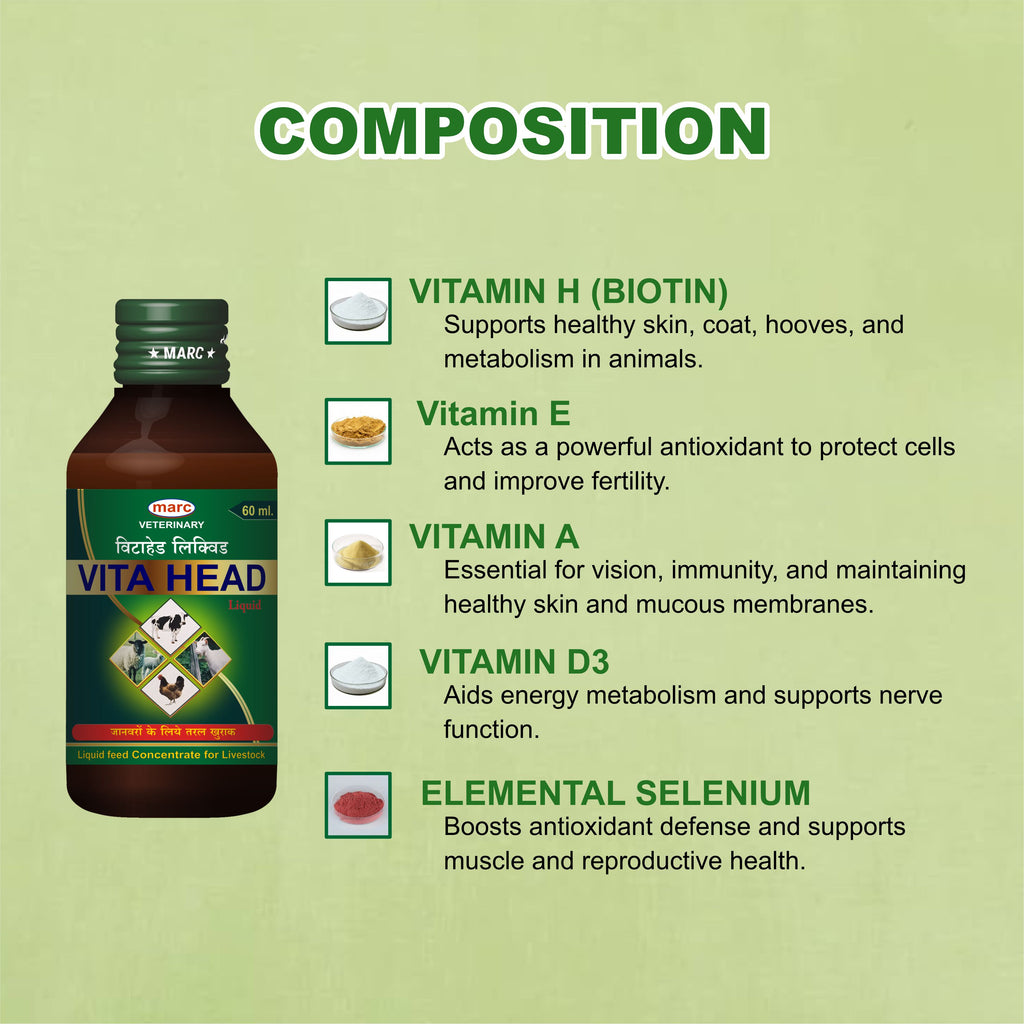 Vita Head Syrup 60ml – Nutritional Veterinary Supplement for Livestock (Pack of 2)