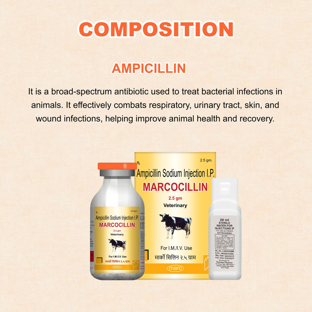 Marcocillin Injection 2.5gm Broad-Spectrum Veterinary Antibiotic with Ampicillin for Livestock & Pets (Pack of 3)
