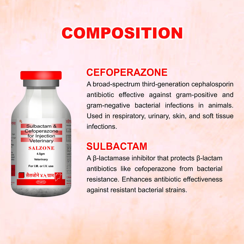 Salzone Injection 4.5GM – Cefoperazone + Sulbactam Injectable Antibiotic