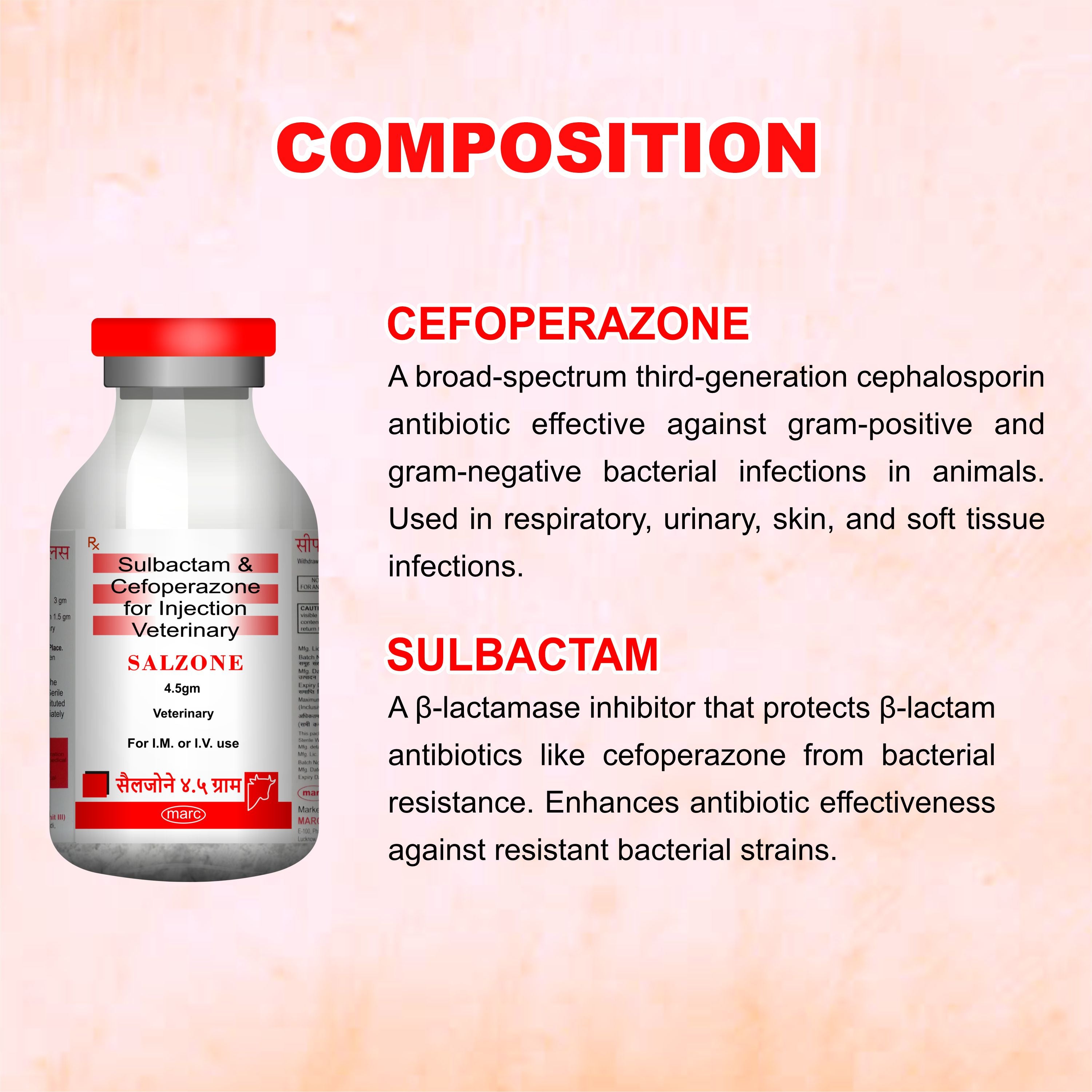 Salzone Injection 4.5GM – Cefoperazone + Sulbactam Injectable Antibiotic