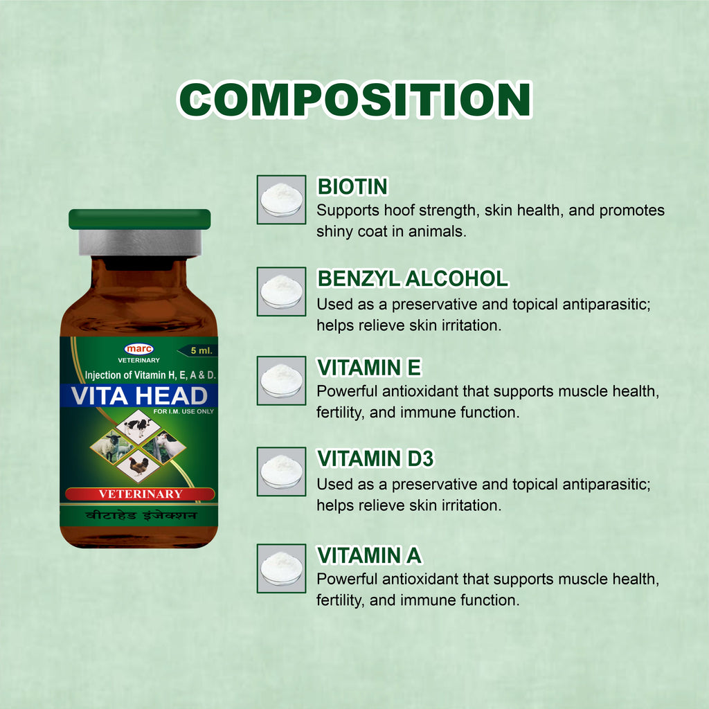 Vita Head Injection 5ml – Complete Injectable Support for Skin, Immunity & Performance in Livestock (Pack of 4)