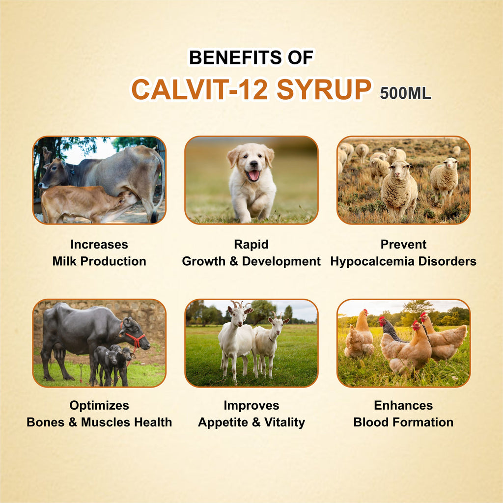 Marc Calvit 12 Syrup 500ml – Calcium, Iron & Vitamin Supplement for Livestock