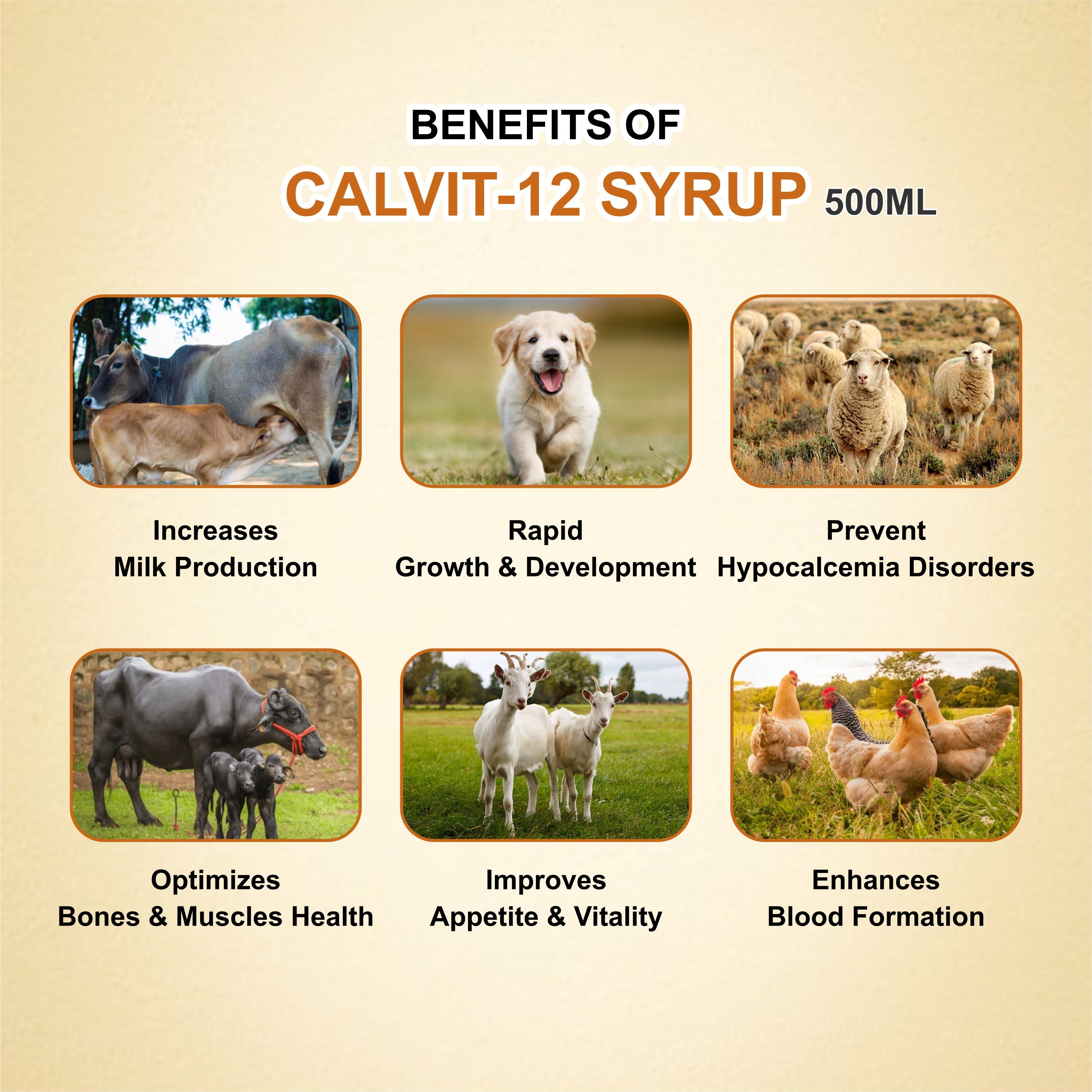 Marc Calvit 12 Syrup 500ml – Calcium, Iron & Vitamin Supplement for Livestock