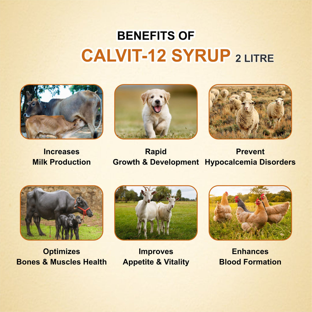 Marc Calvit 12 Syrup 2Lt – Calcium, Iron & Vitamin Supplement for Livestock