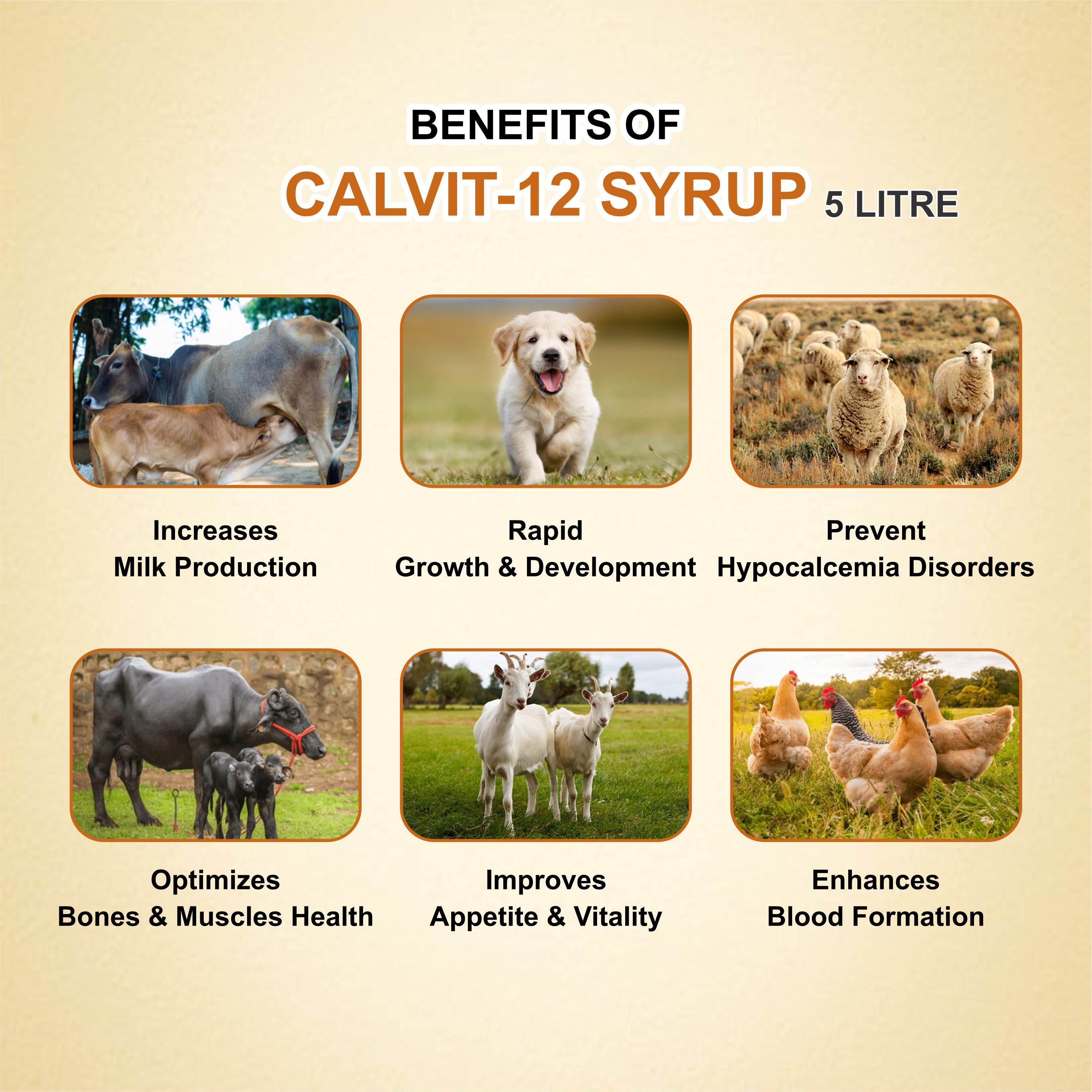 Marc Calvit 12 Syrup 5Lt – Calcium, Iron & Vitamin Supplement for Livestock