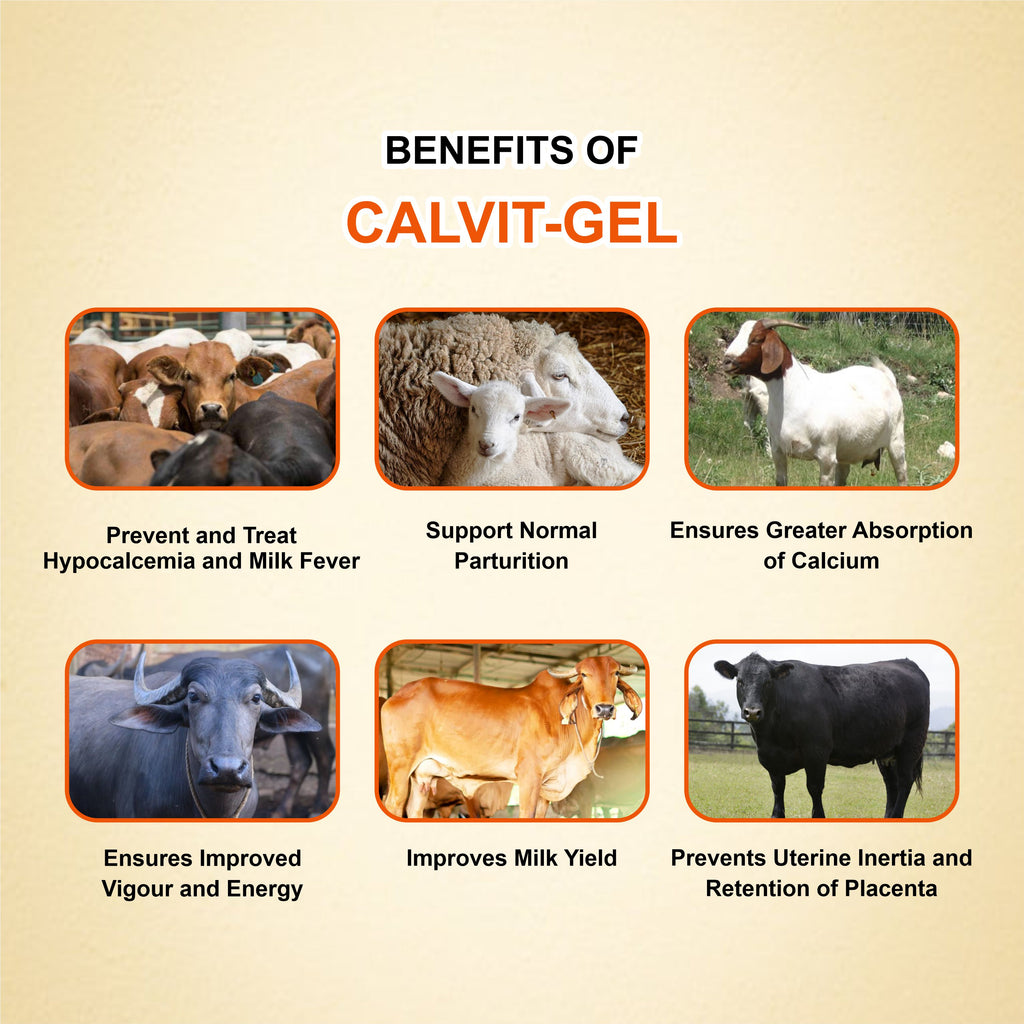 Calvit Gel 300ml – High-Quality Oral Calcium & Vitamin Supplement for Livestock