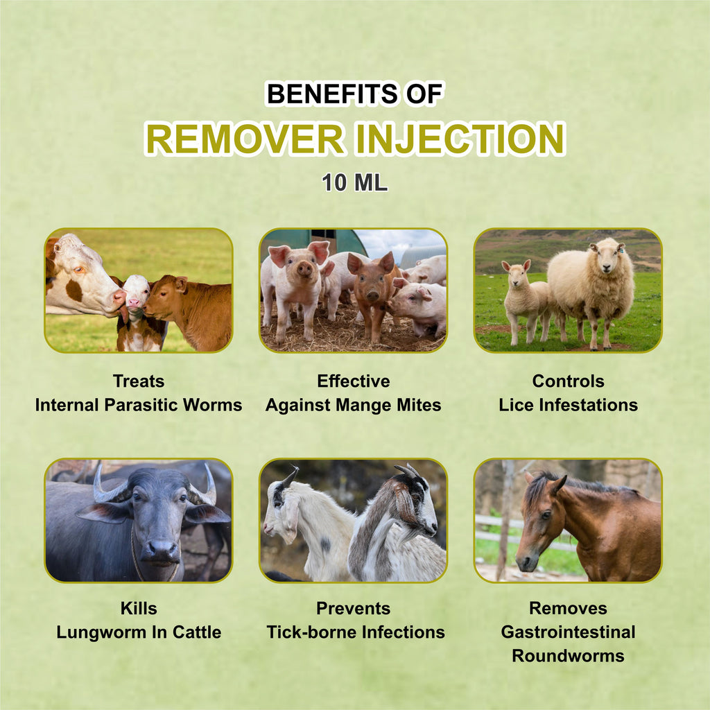 Remover Injection 10ml  – Powerful Ivermectin-Based Parasite Control for Livestock