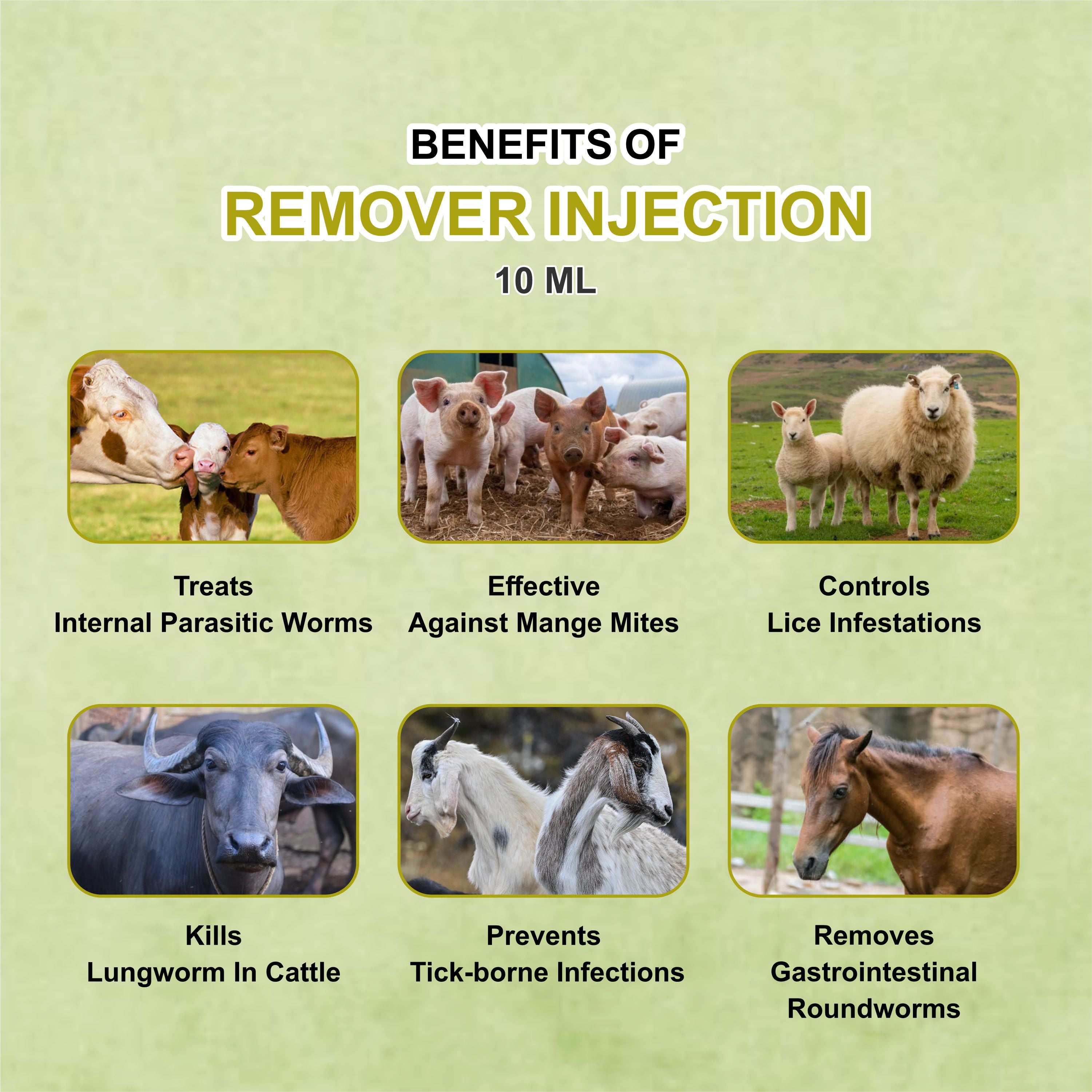 Remover Injection 10ml  – Powerful Ivermectin-Based Parasite Control for Livestock