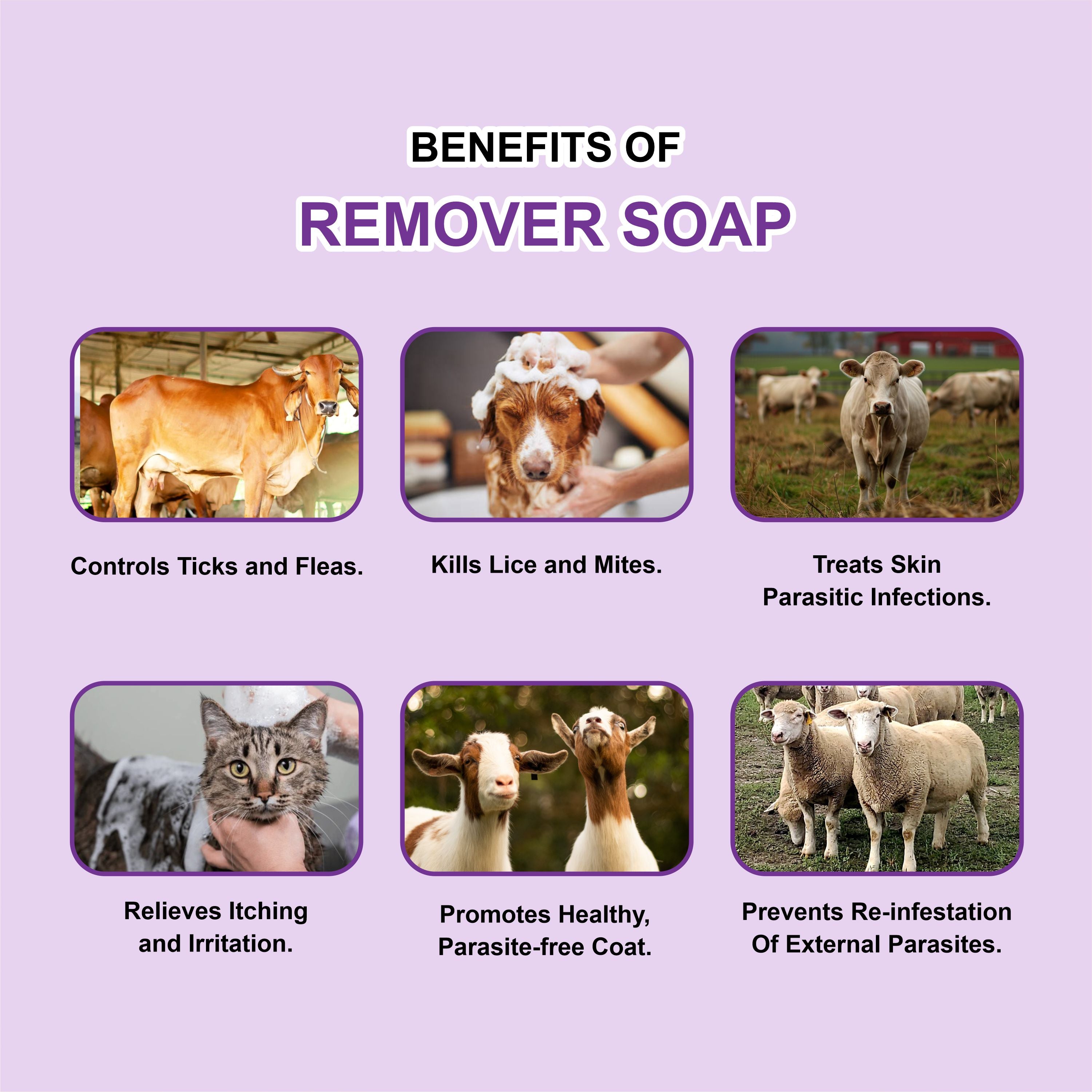 Remover Soap – Effective Veterinary Medicated Soap for Ticks, Fleas & Mites (Pack of 3)