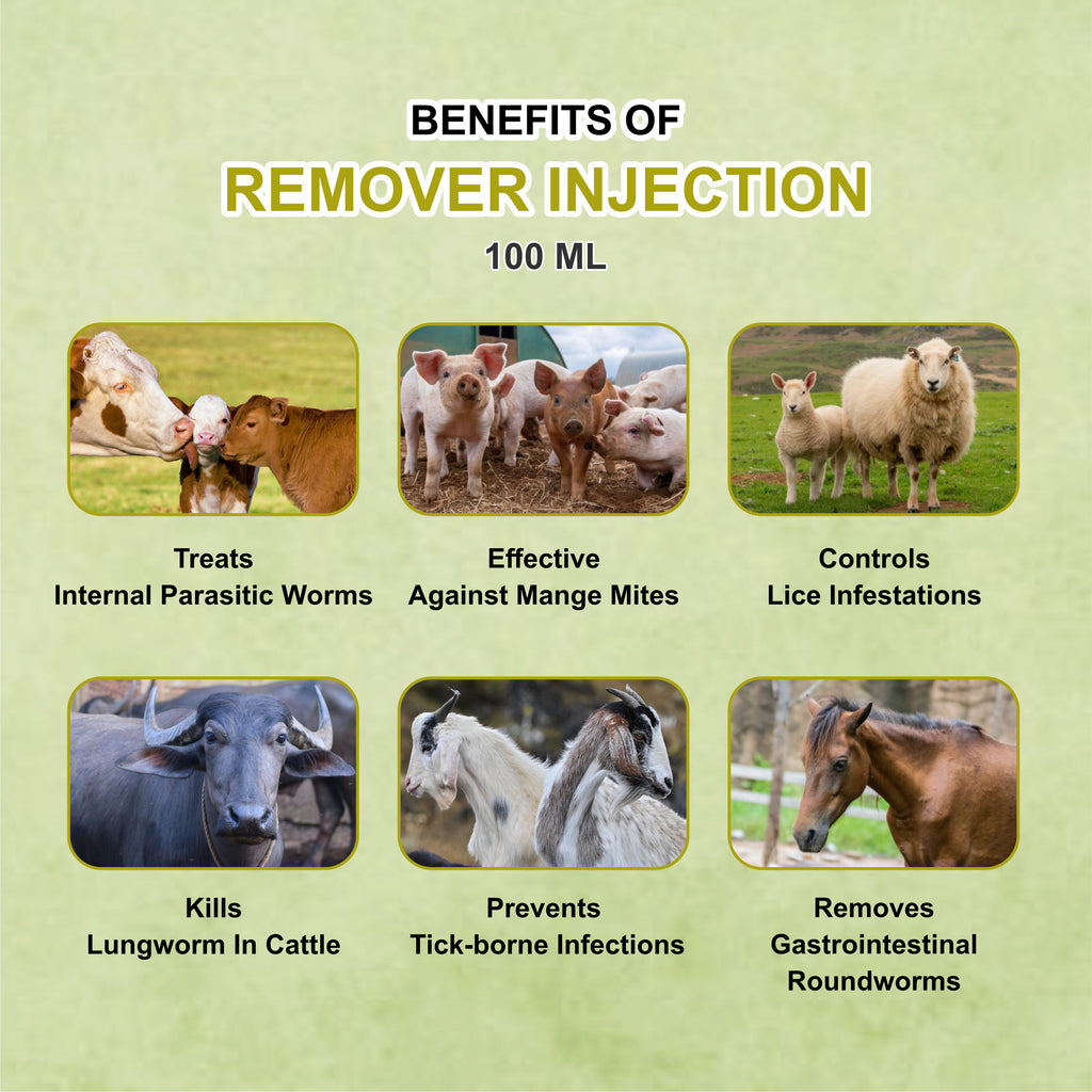 Remover Injection 100ml – Powerful Ivermectin-Based Parasite Control for Livestock