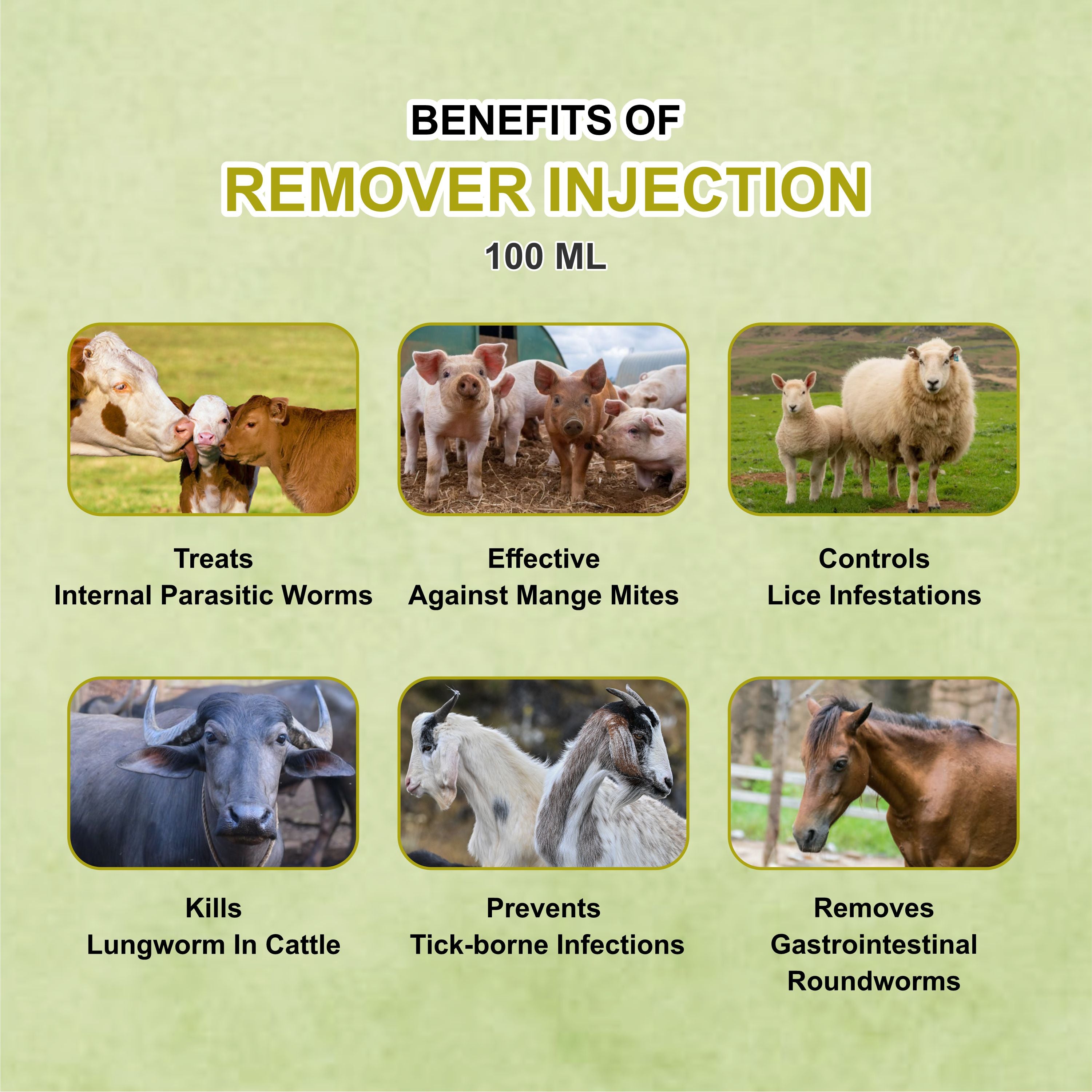 Remover Injection 100ml – Powerful Ivermectin-Based Parasite Control for Livestock