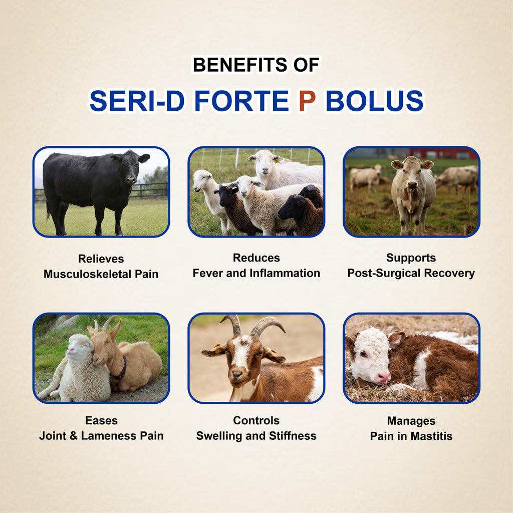 Seri D Forte P Bolus (5x4) – Triple Action Pain, Fever & Inflammation Relief for Livestock