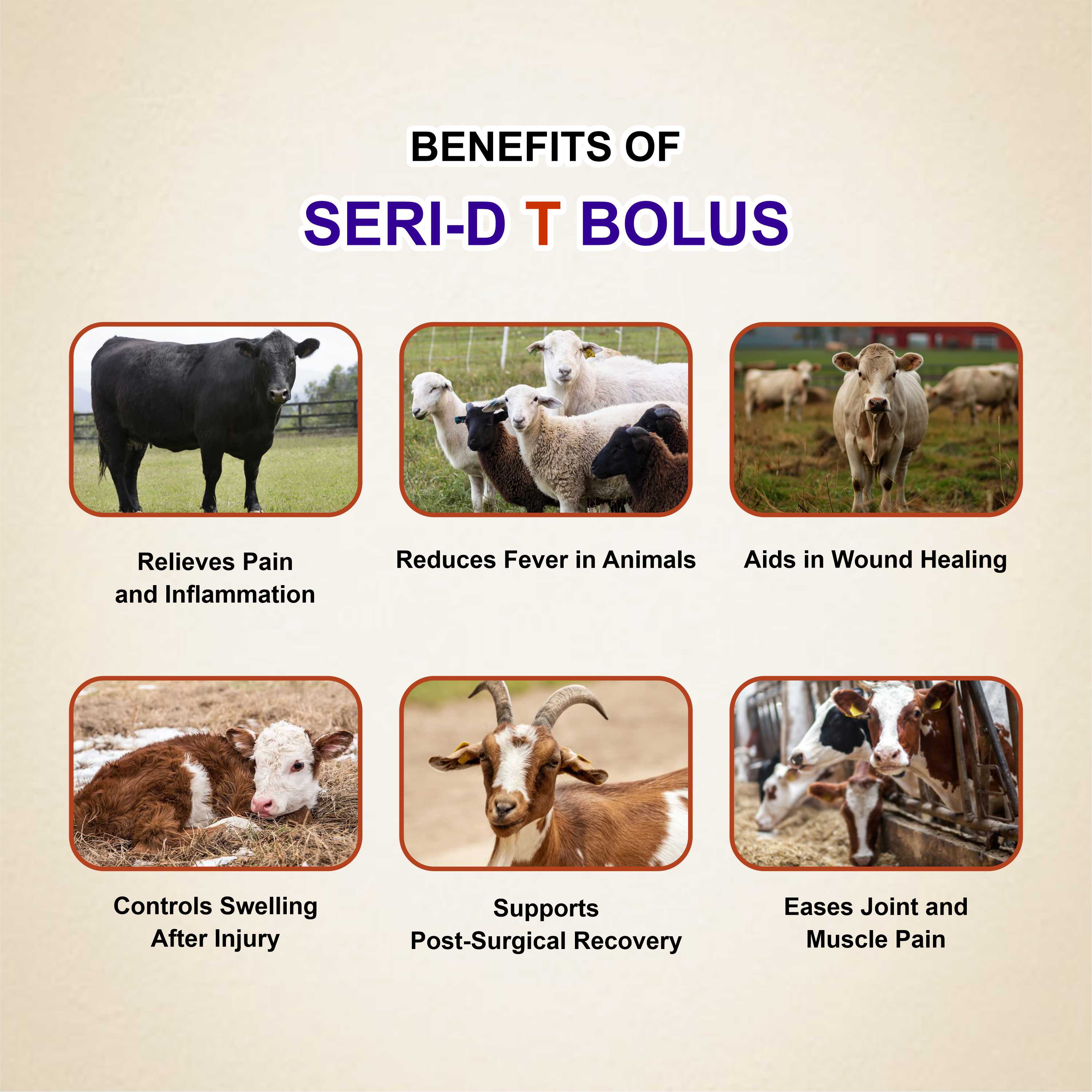 Seri D T Bolus (5x4) – Complete Pain Relief & Anti-Inflammatory Solution for Livestock