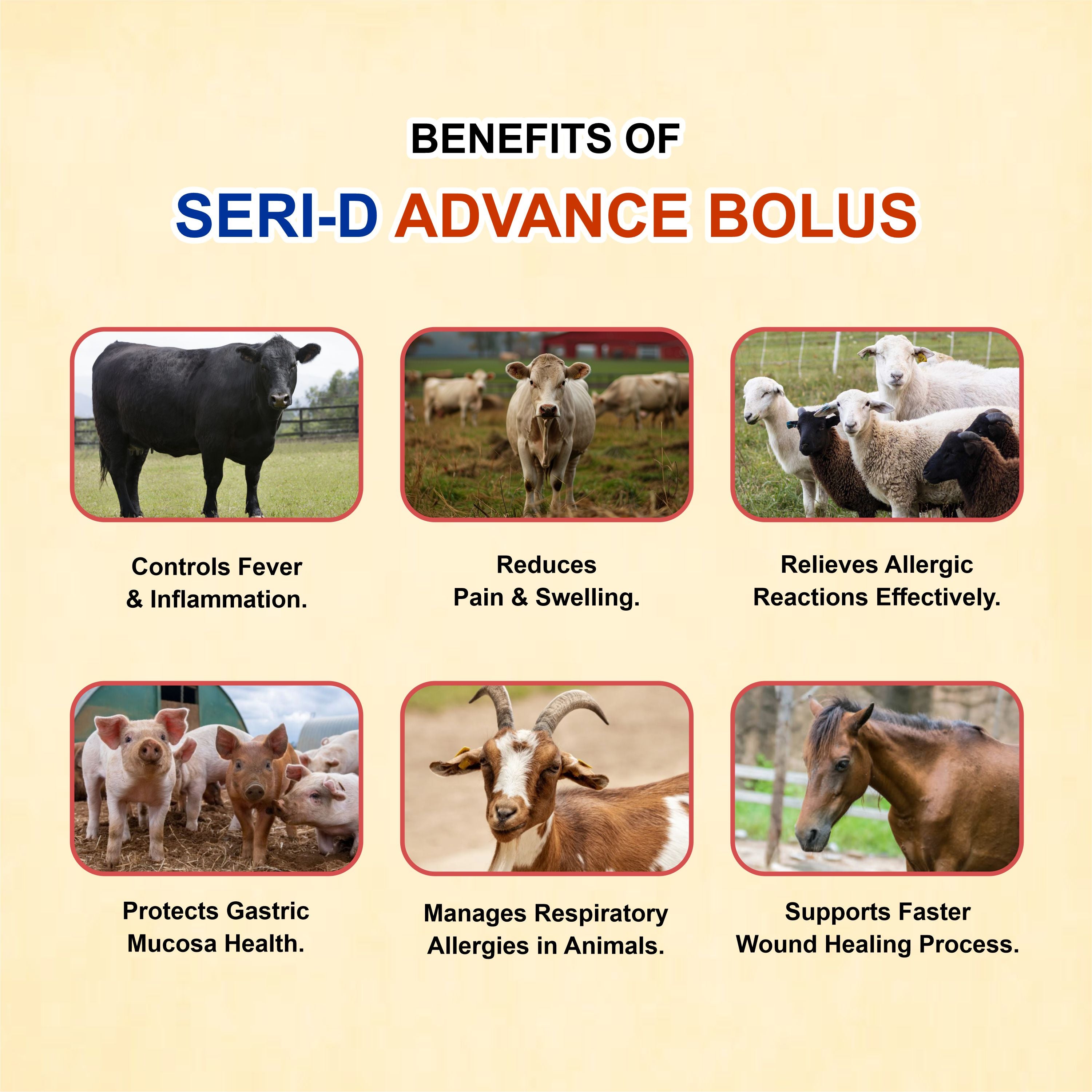 Seri D Advance Bolus (Pack of 3) – Advanced Pain, Allergy & Inflammation Relief for Livestock & Pets