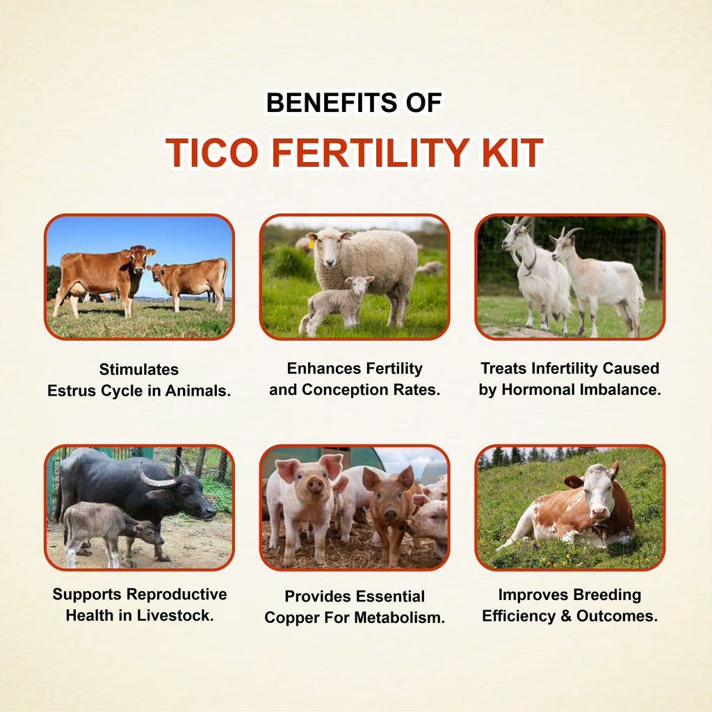 Marc Tico Bolus – Veterinary Fertility Booster for Improved Conception & Ovulation Support