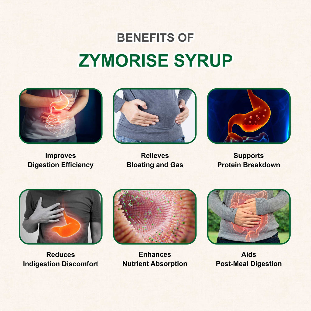 Marc Zymorise Digestive Enzyme Syrup with Alpha Amylase & Pepsin for Indigestion, Bloating & Appetite Support