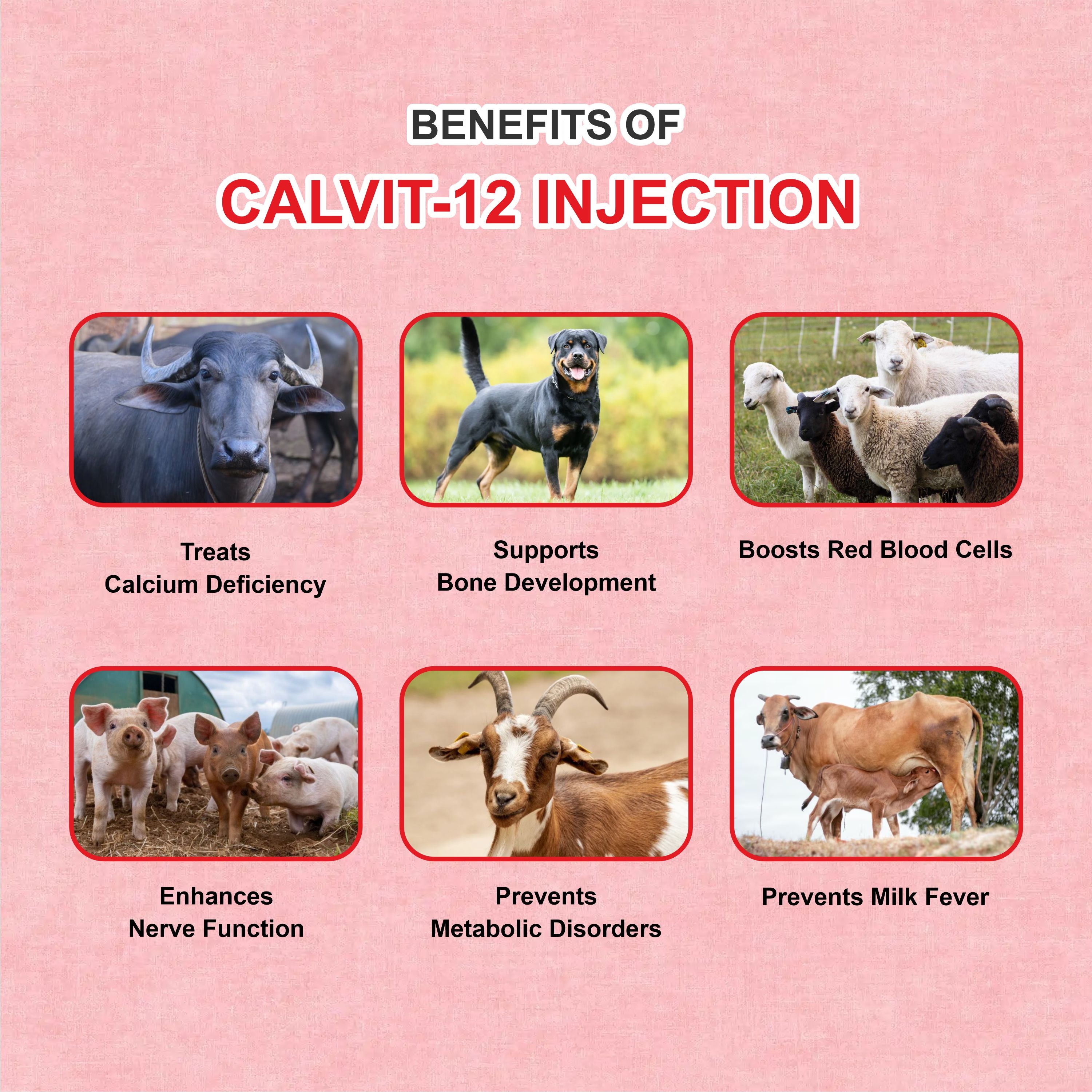 Marc Calvit 12 Injection 100ml – Calcium, Vitamin D3 & B12 Support for Livestock Health