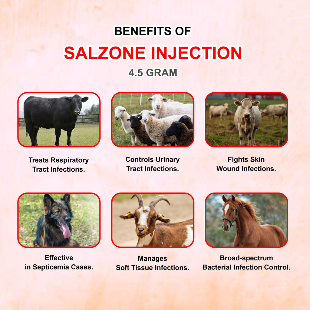 Salzone Injection 4.5GM – Cefoperazone + Sulbactam Injectable Antibiotic