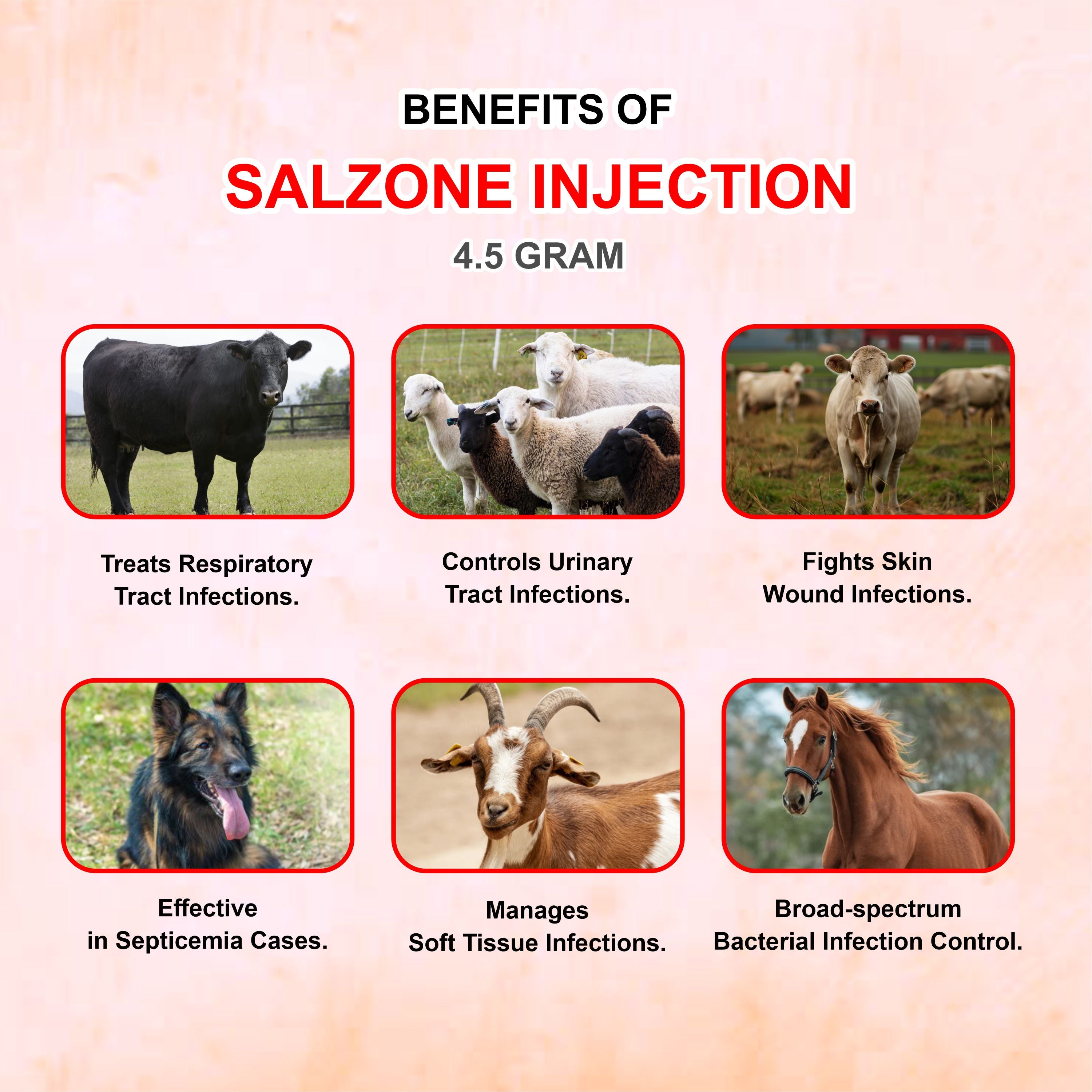 Salzone Injection 4.5GM – Cefoperazone + Sulbactam Injectable Antibiotic