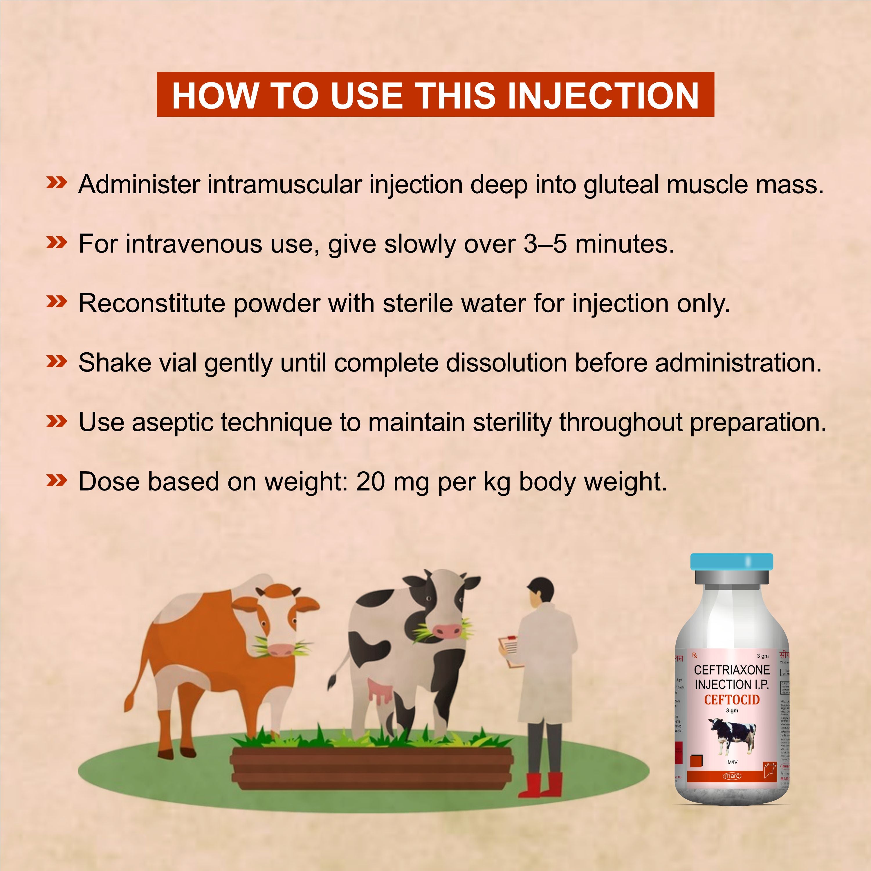 Ceftocid Injection 3GM – Broad Spectrum Ceftriaxone Antibiotic for Livestock Infections
