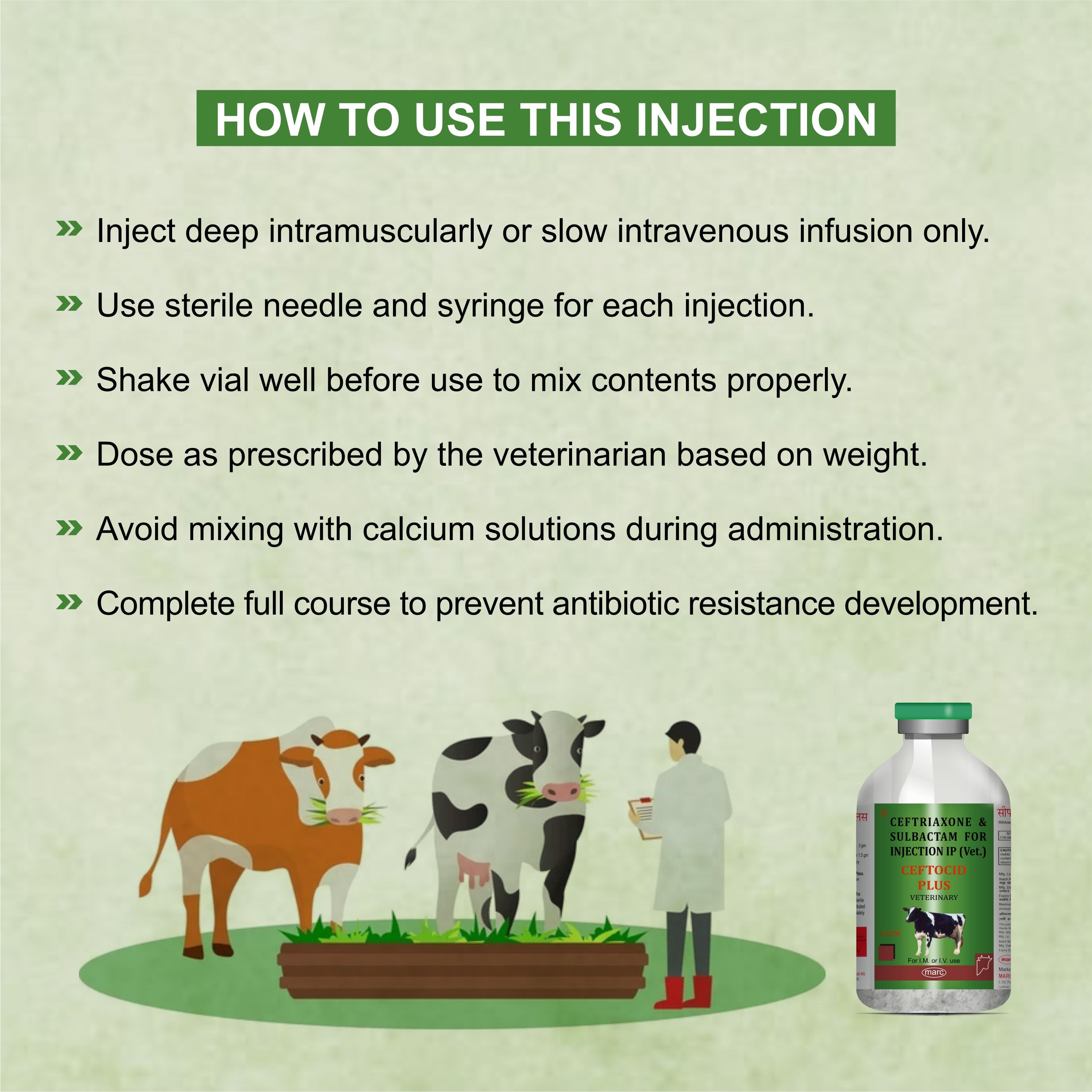Cloxam Injection 2Gm – Fast-Acting Injectable Antibiotic for Livestock Health (Pack of 3)