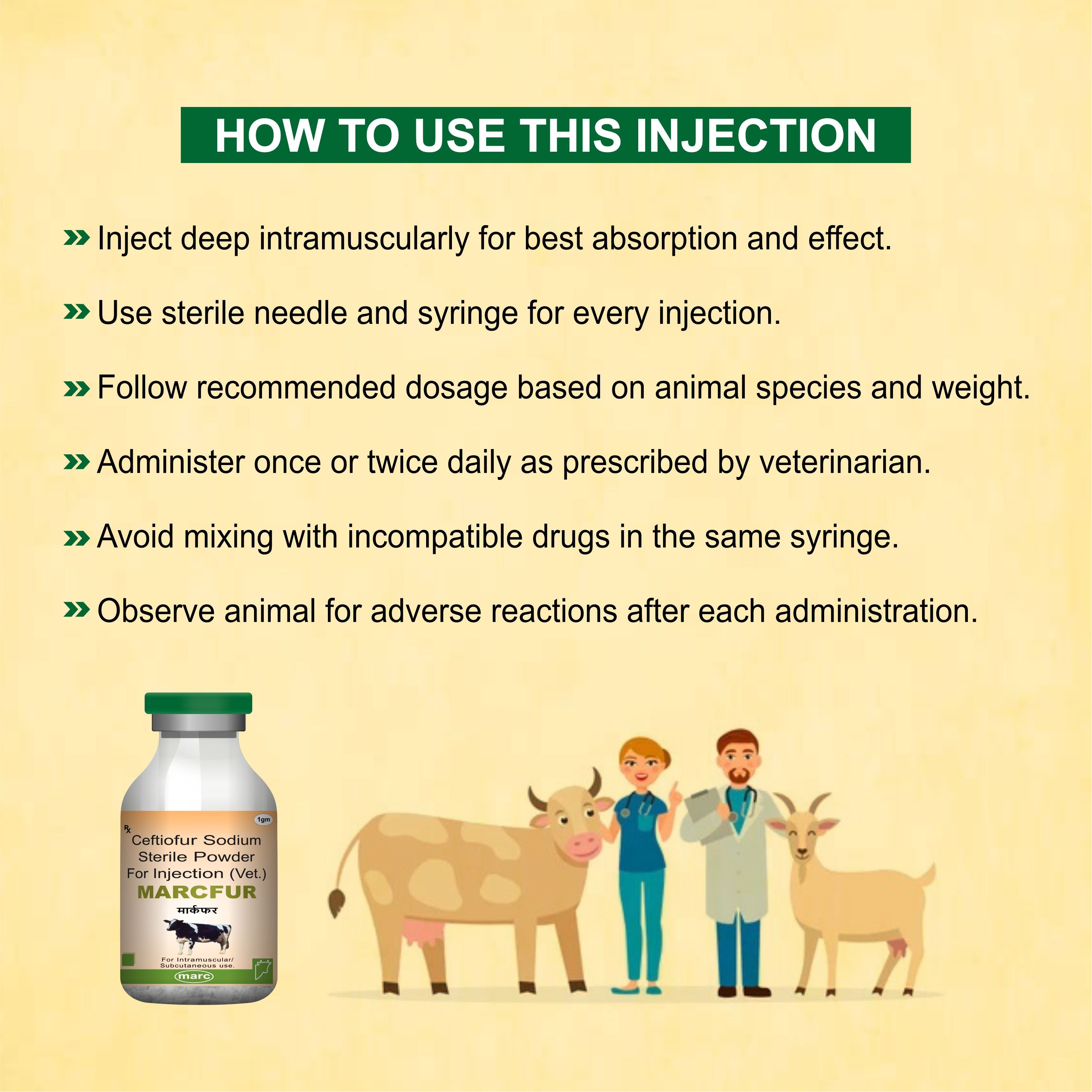 Marcfur Injection 1Gm – Powerful Broad-Spectrum Veterinary Antibiotic with Ceftiofur