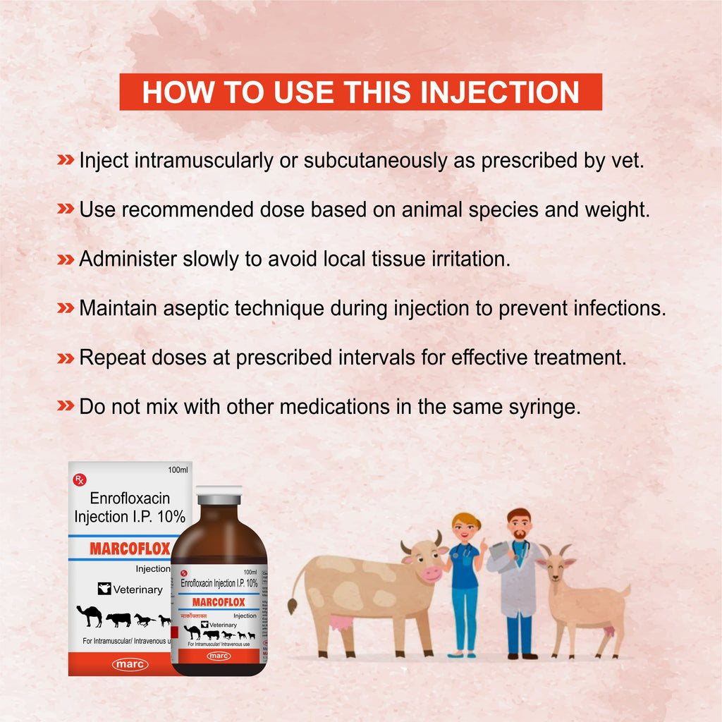 Marc Marcoflox Injection 100ml – Trusted Enrofloxacin Antibiotic for Powerful Veterinary Infection Control