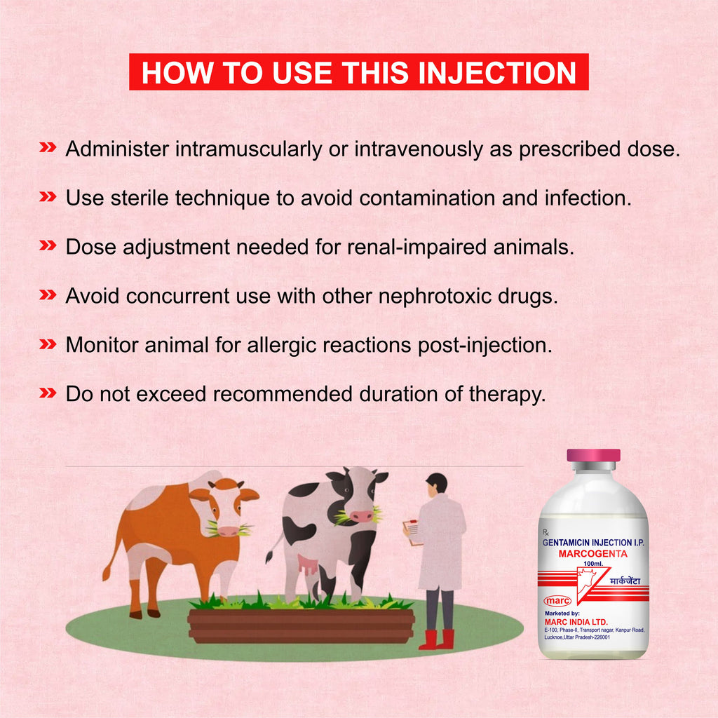 Marcogenta Injection 100ml – Trusted Gentamicin Antibiotic for Livestock Infections