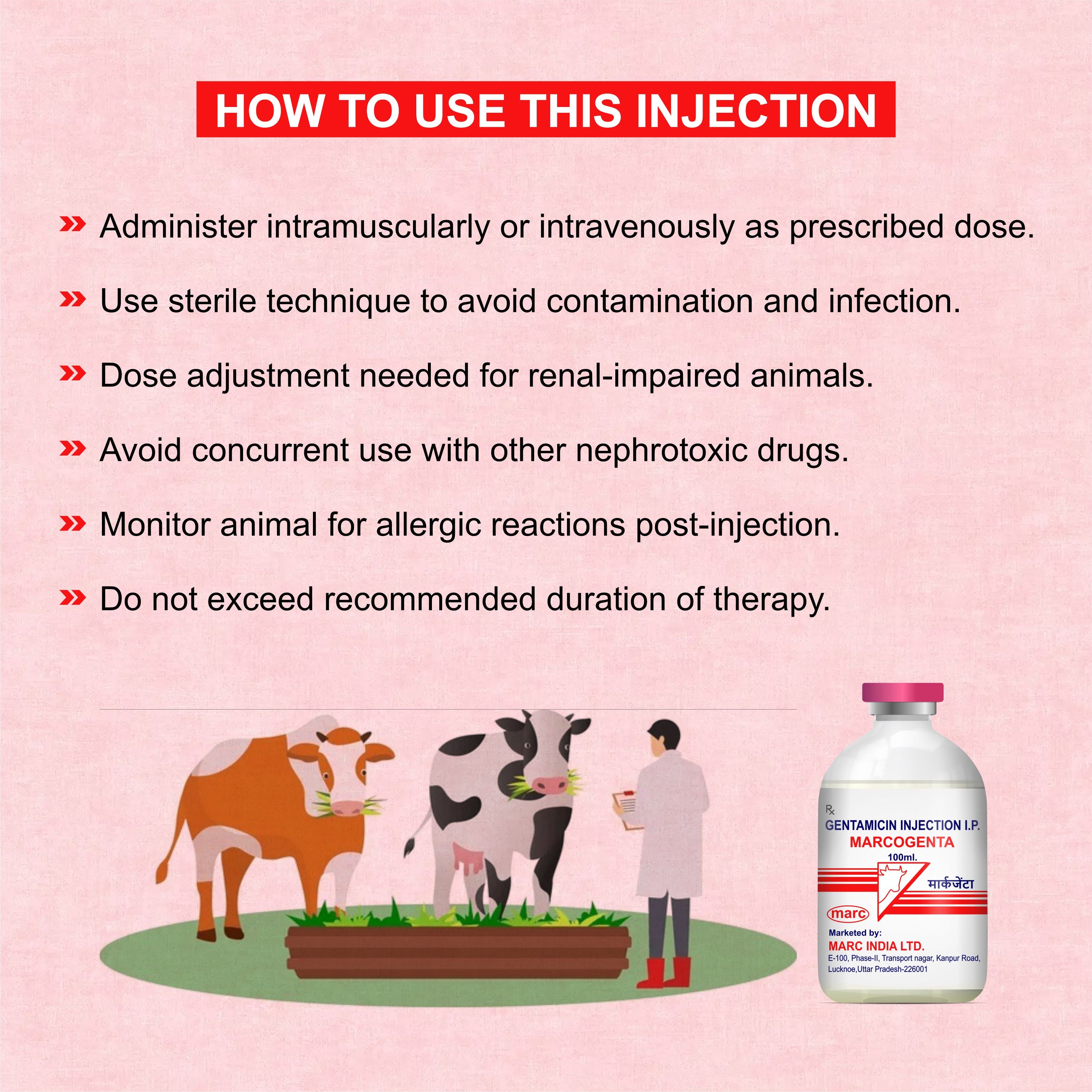 Marcogenta Injection 100ml – Trusted Gentamicin Antibiotic for Livestock Infections