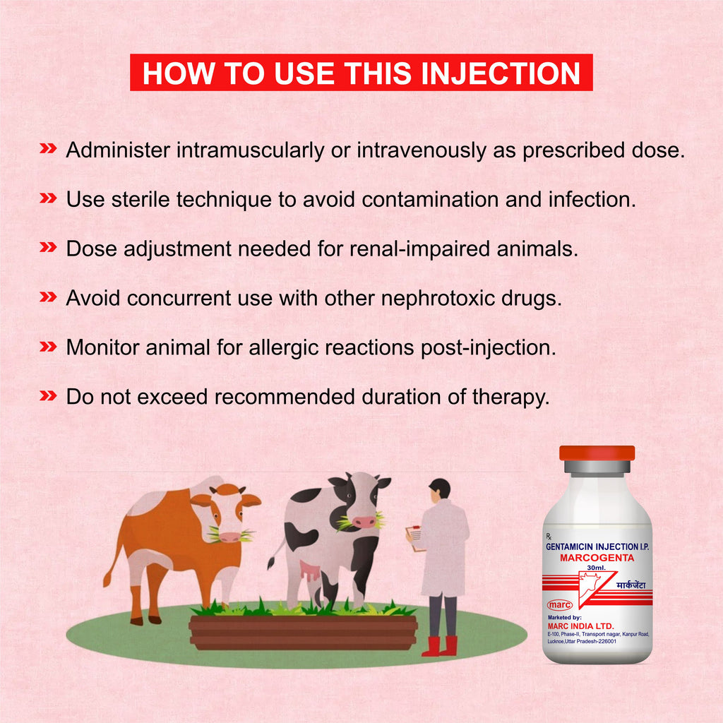 Marcogenta Injection 30ml – Trusted Gentamicin Antibiotic for Livestock Infections