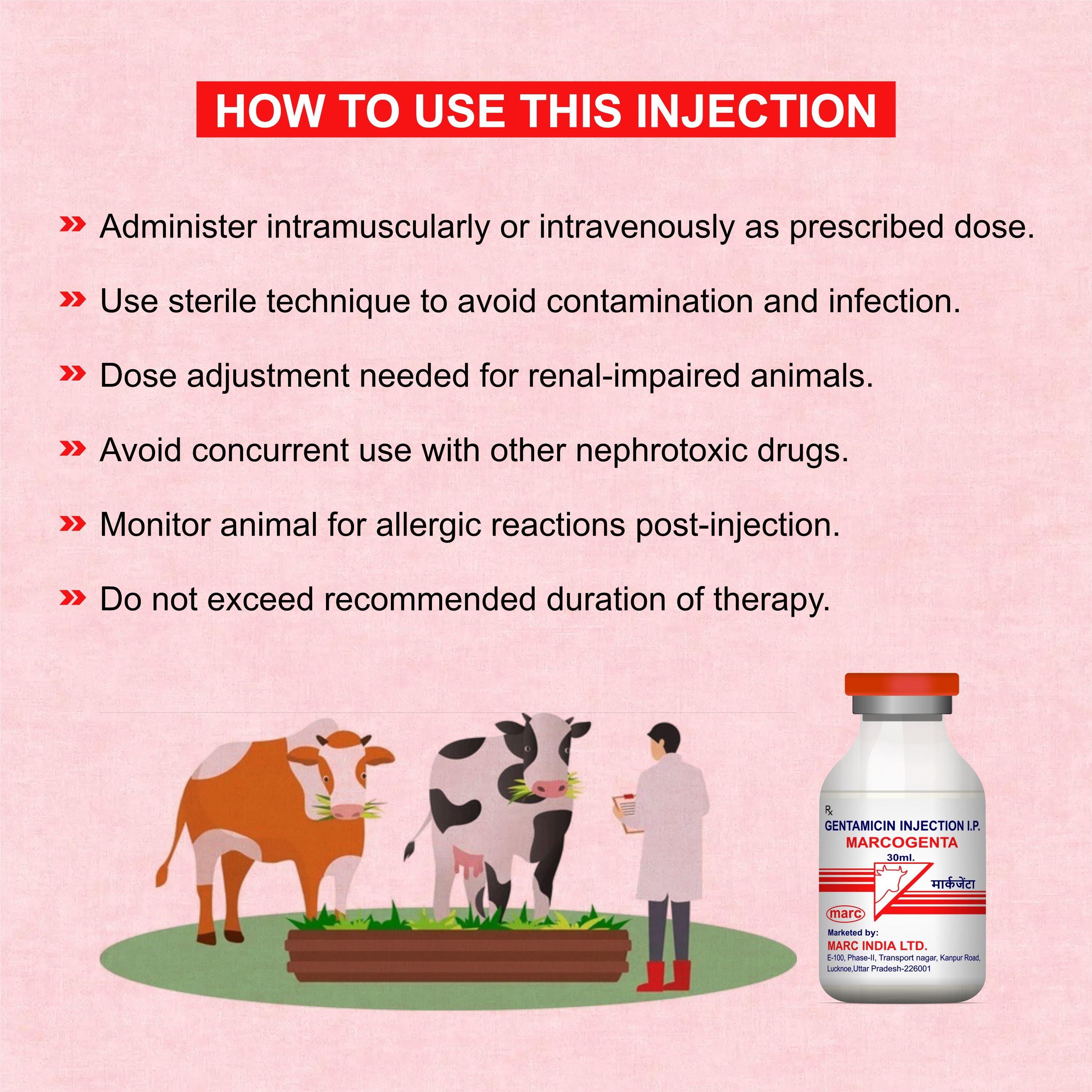 Marcogenta Injection 30ml – Trusted Gentamicin Antibiotic for Livestock Infections