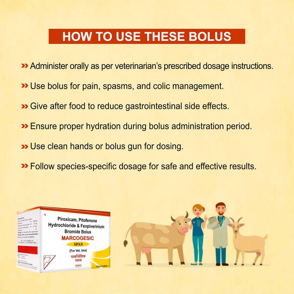 Marcogesic Spas Bolus (5x4) – Advanced Antispasmodic & Analgesic for Livestock