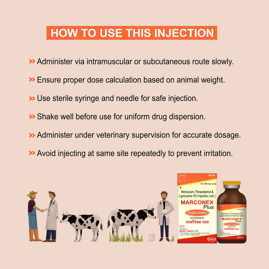 Marconex Plus Injection 30ml – Fast-Acting Veterinary Pain Relief & Anti-Inflammatory for Livestock & Pets (Pack of 3)