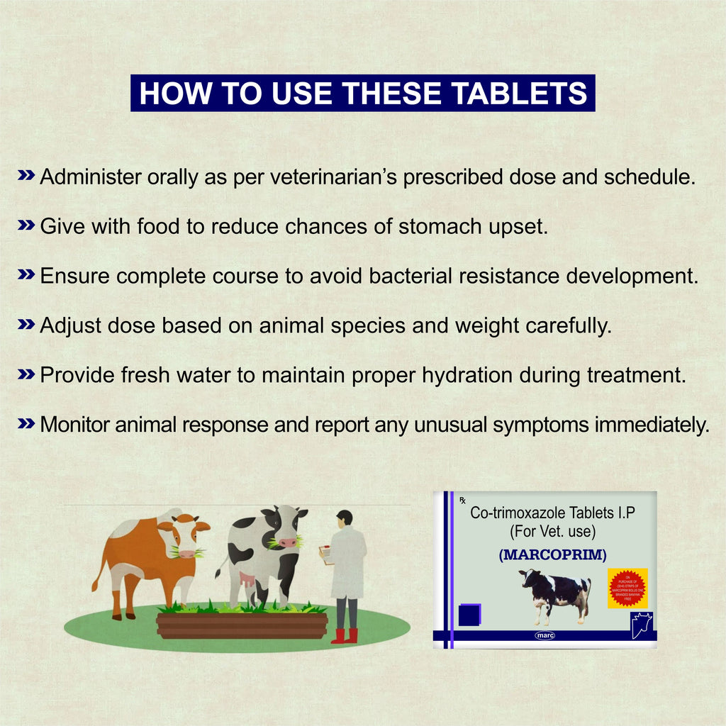 Marc Marcoprim Bolus – Broad-Spectrum Veterinary Antibiotic