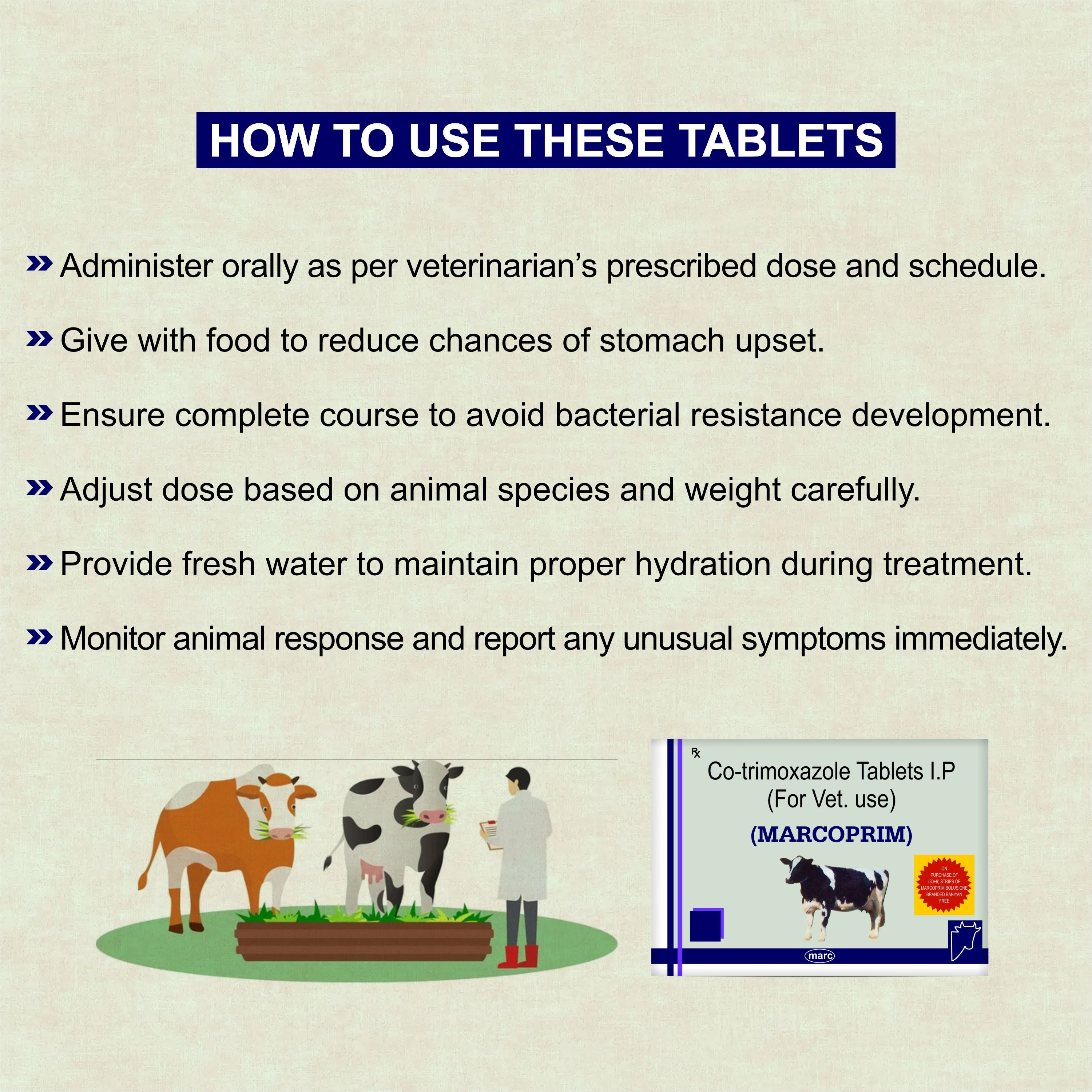 Marc Marcoprim Bolus – Broad-Spectrum Veterinary Antibiotic