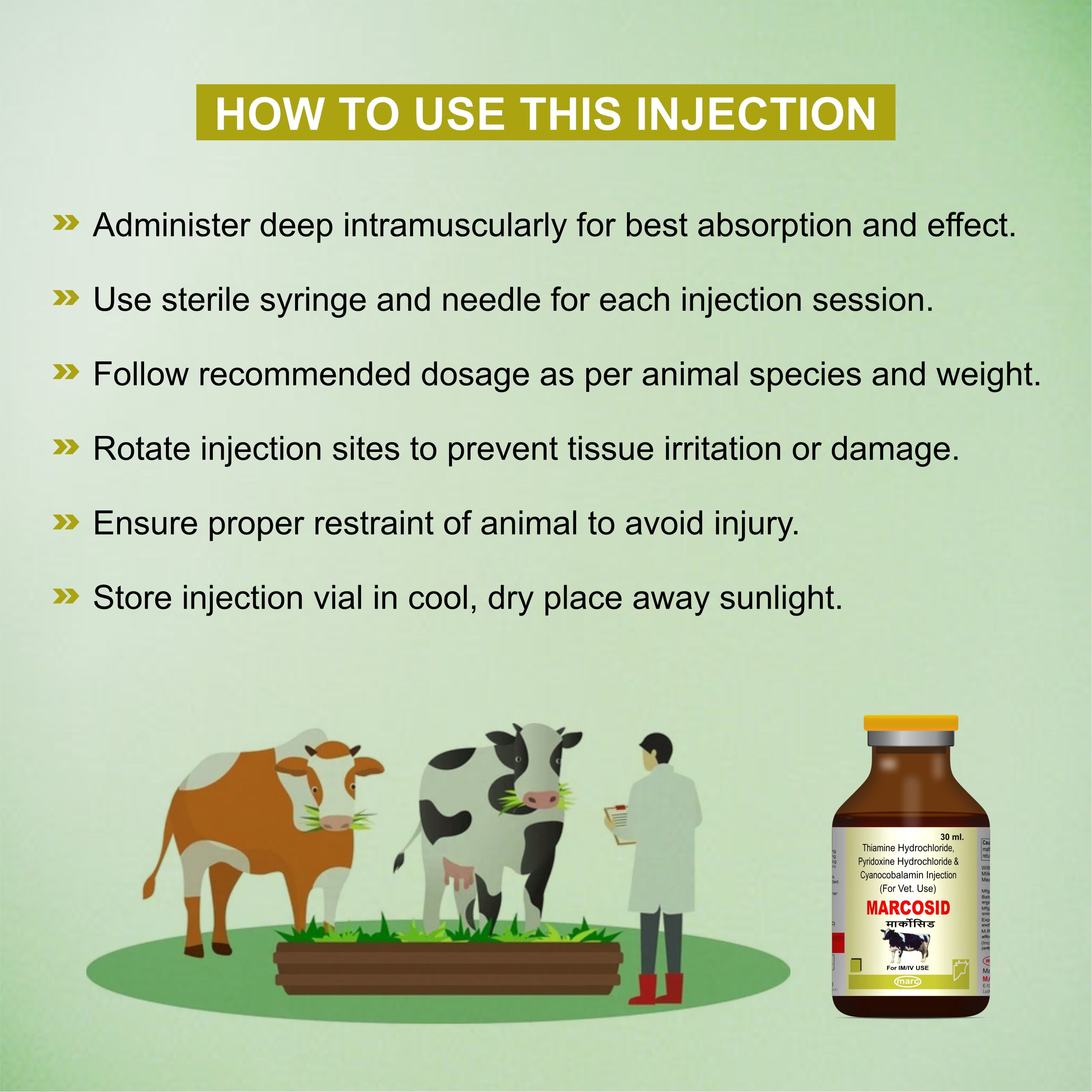 Marcosid Injection 30ml – Powerful B-Complex Support for Energy, Nerve & Muscle Health in Livestock (Pack of 3)
